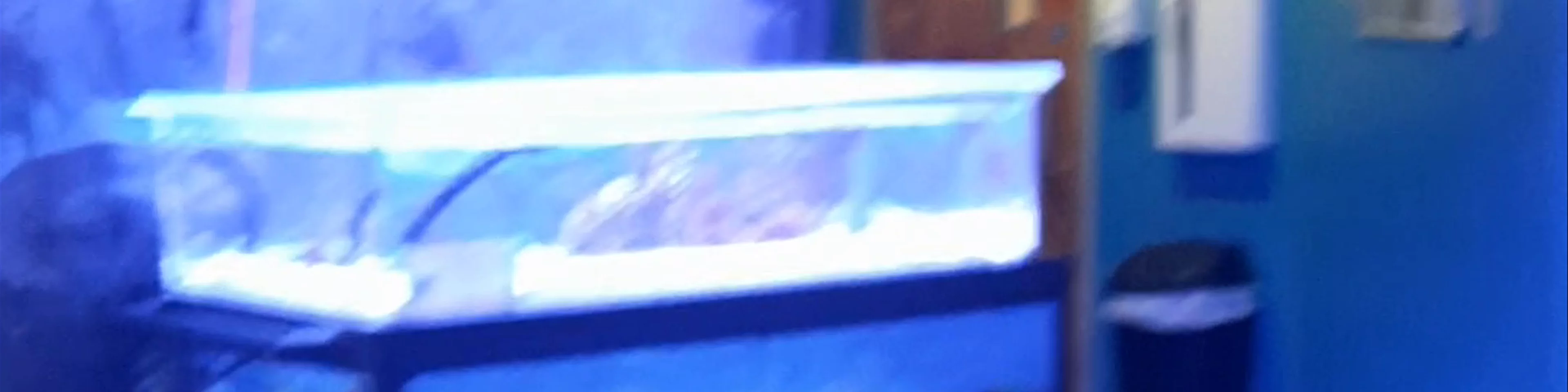 Butterfly House & Aquarium