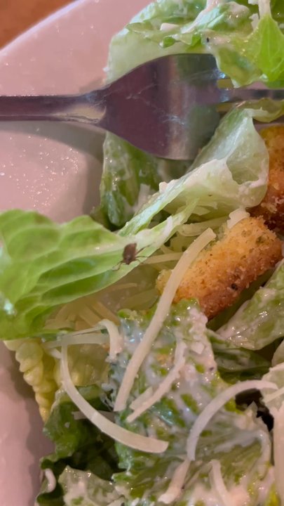 Texas Roadhouse - Bug crawling in my salad - Steakhouses Near Me - Parlin, New Jersey