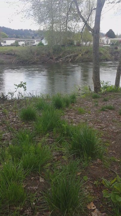 Riverwalk Trail - Hiking Near Me - Puyallup, Washington