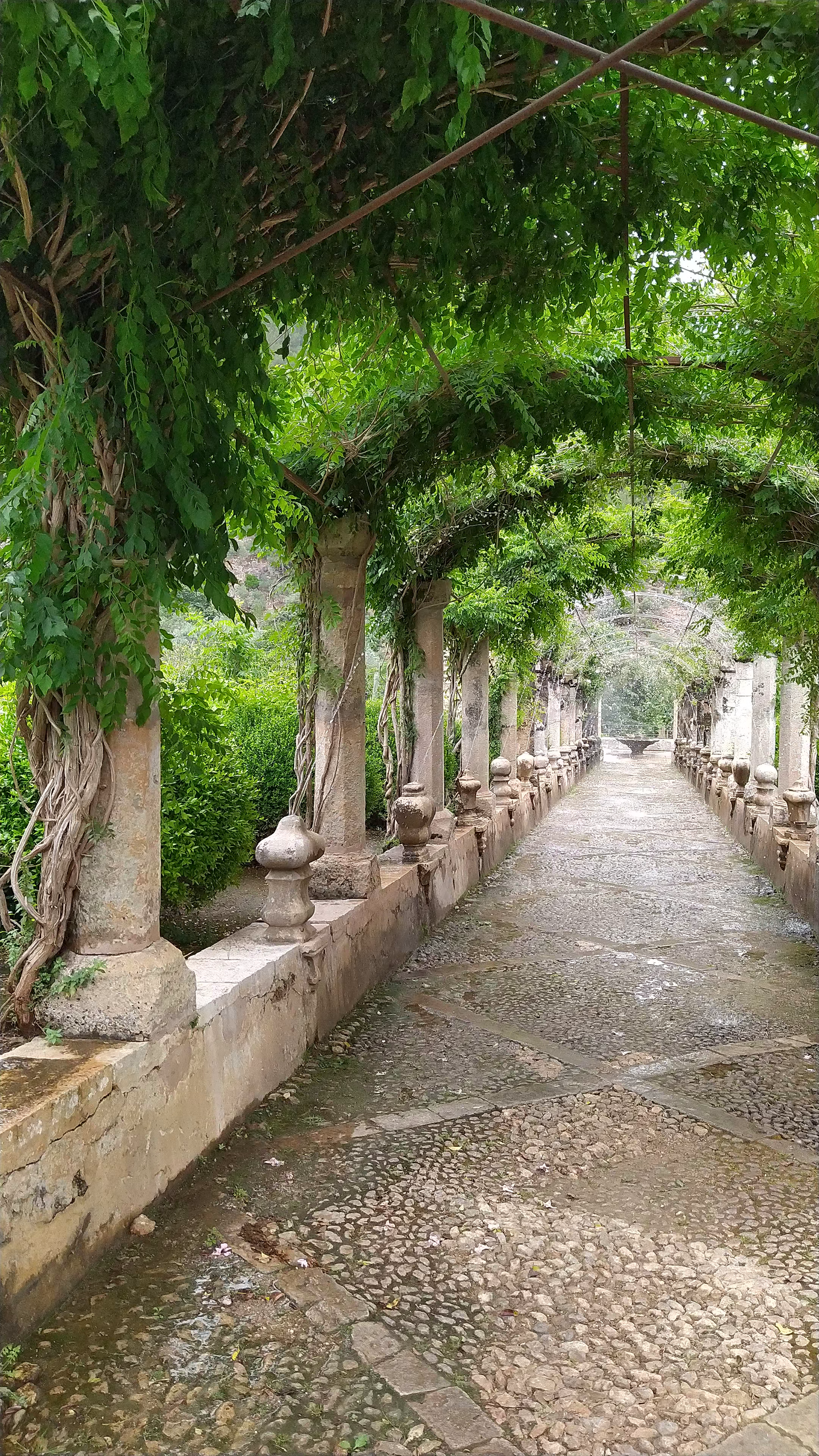 Jardines de Alfabia: Tranquil Historic Garden Walk in Mallorca
