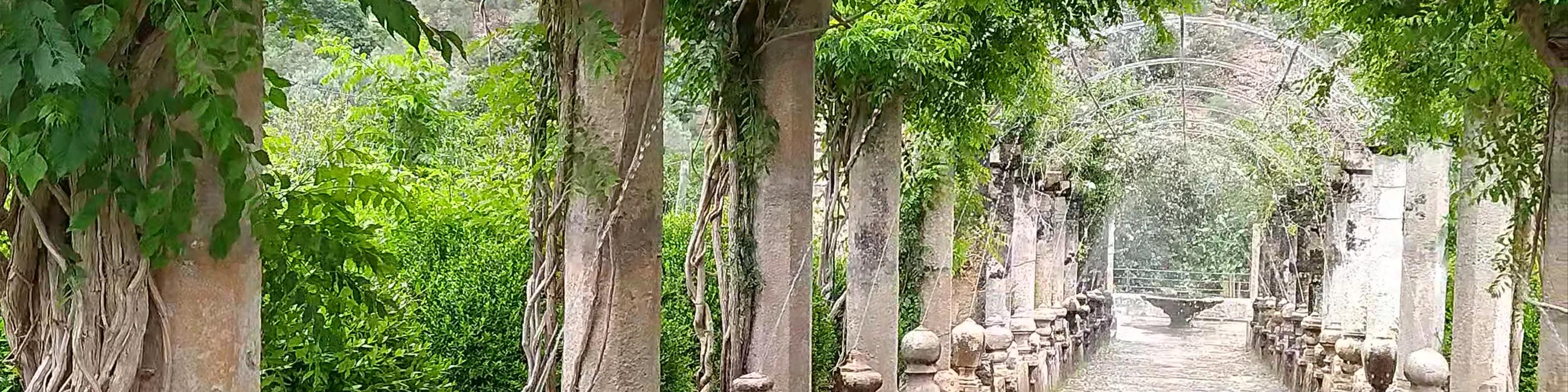 Jardines de Alfabia