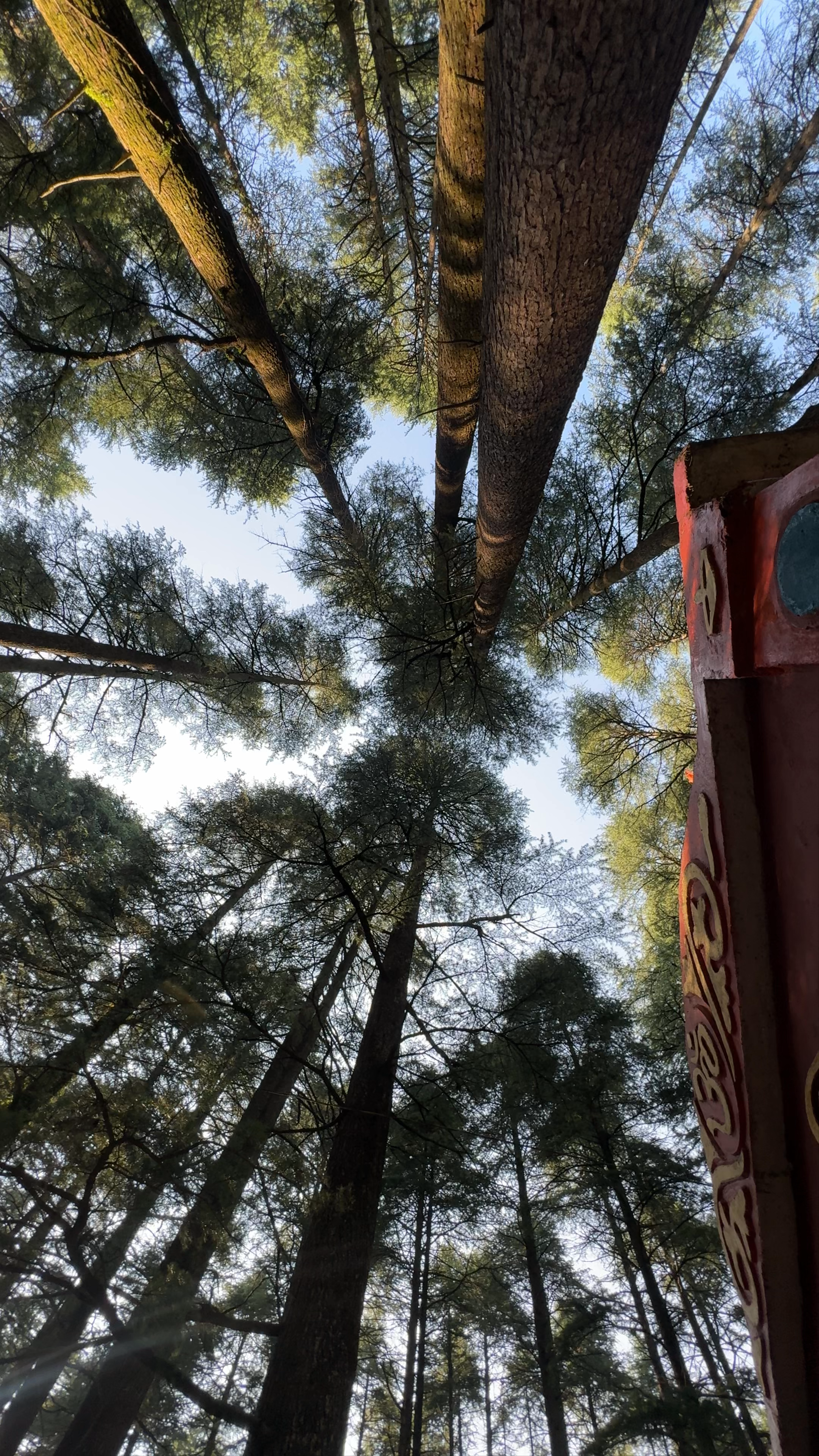 Shri Tadkeshwar Dham Mandir, Lansdowne