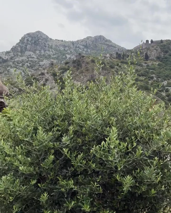 View up on the old city walls of Kotor