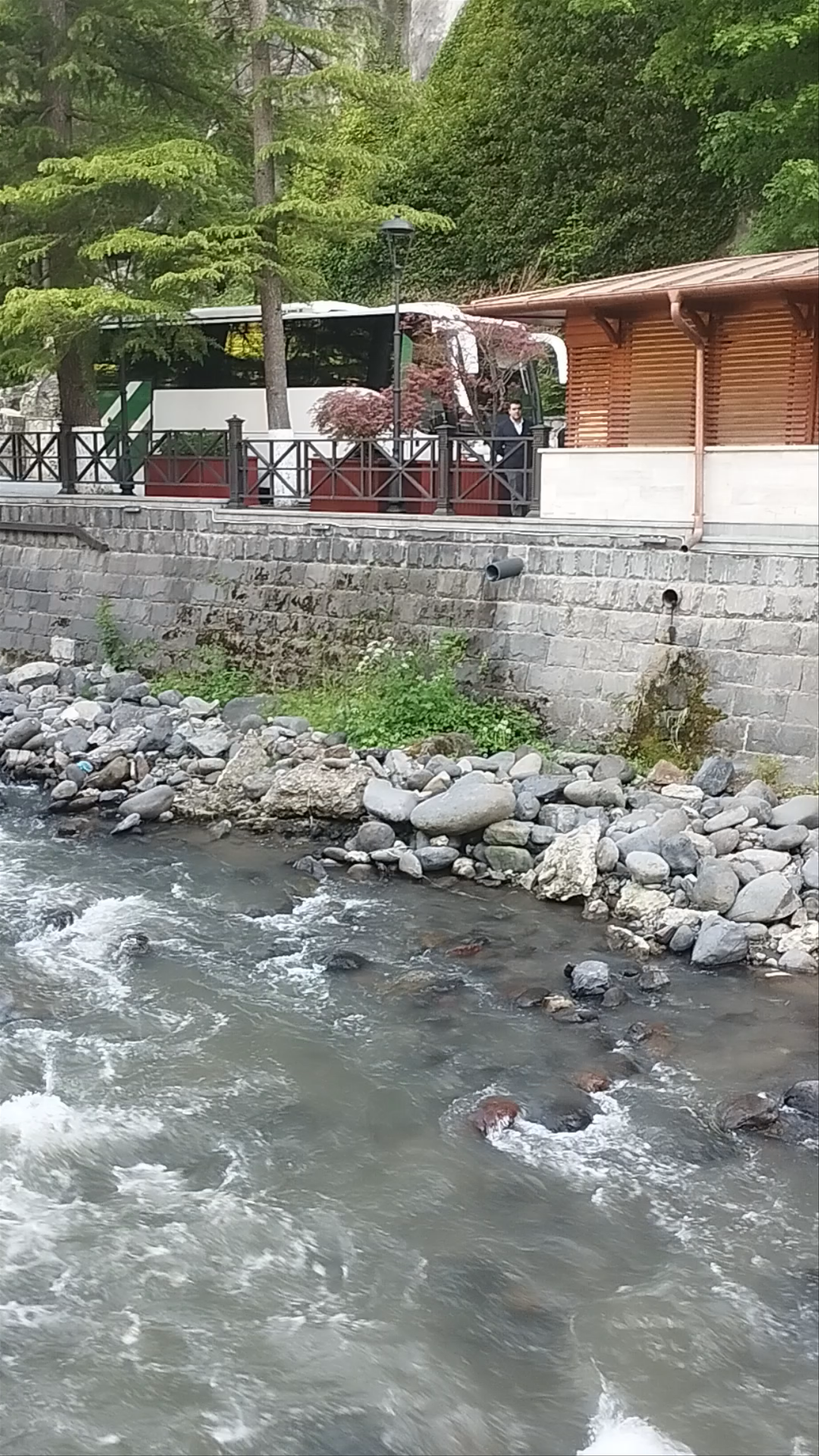 Borjomi Mineral Water (hot spring)