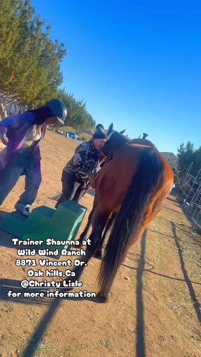 Wild Wind Ranch - Horseback riding lessons at Wild Wind Ranch Oakhills,Ca - Horseback Riding Near Me - Oak Hills, California