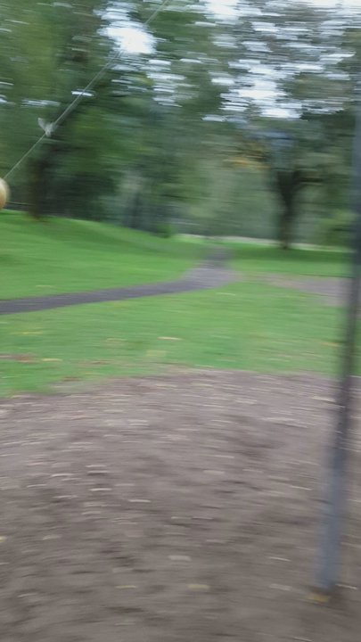 Rooster Rock State Park - Tether Ball !! - Parks Near Me - Corbett, Oregon