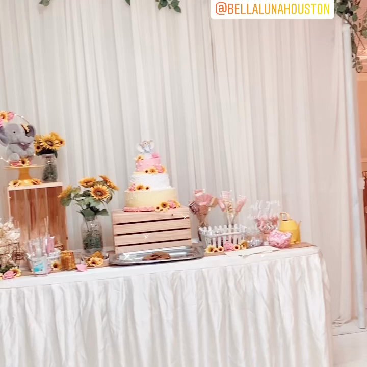 Bella Luna Events - Baby shower ready! - Party & Event Planning Near Me - Houston, Texas