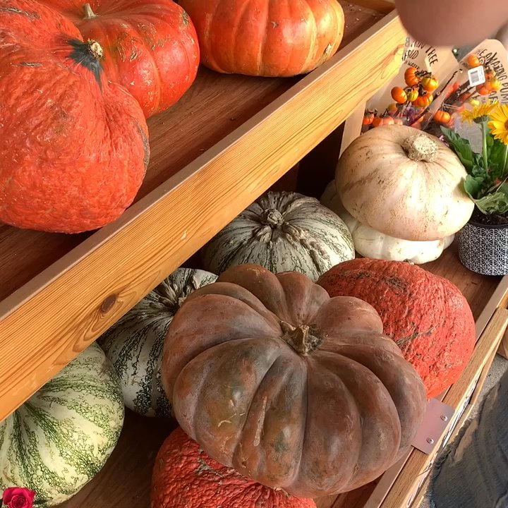Trader Joe's - Grocery Near Me - Torrance, California