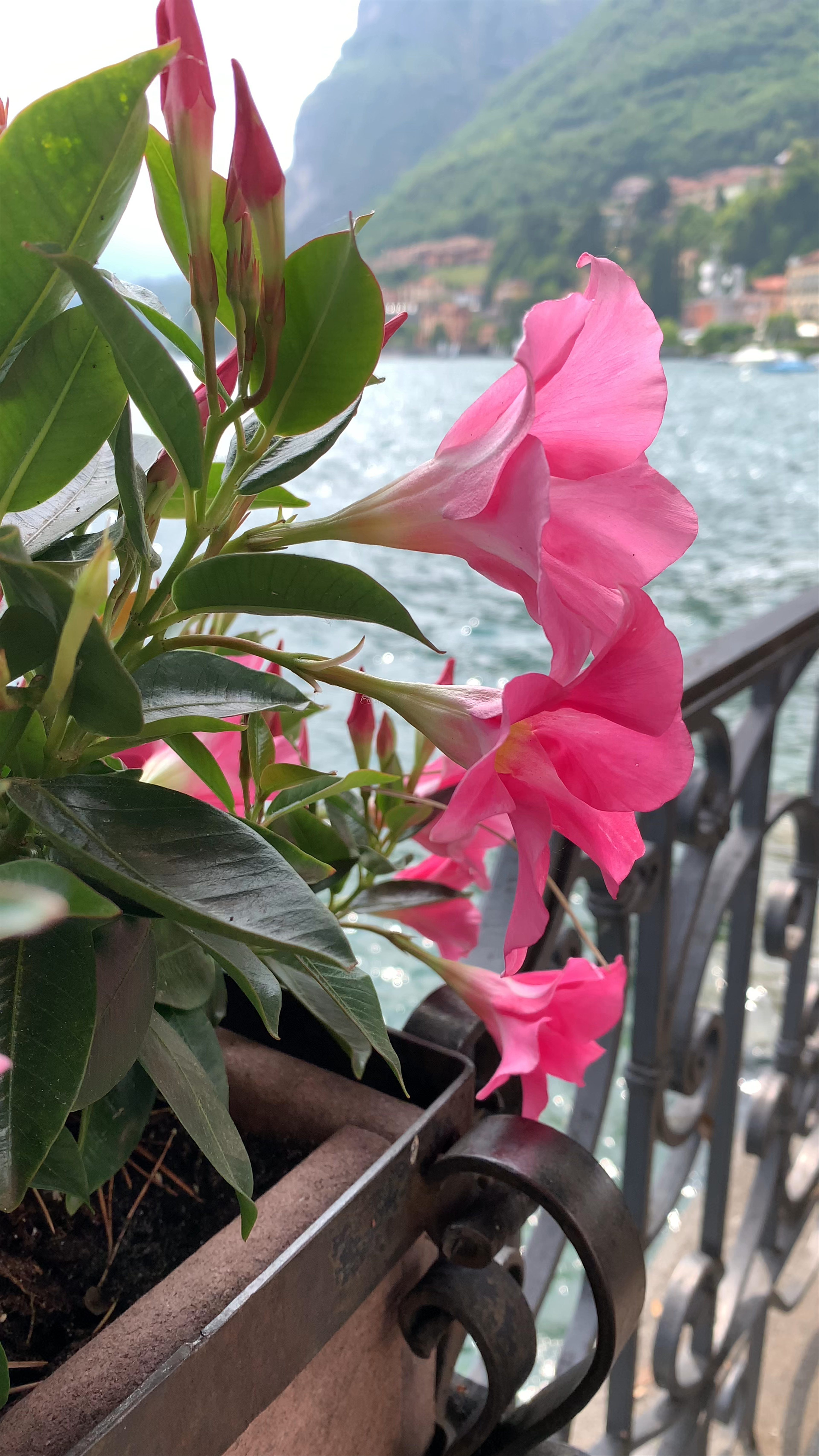 Lago di Como