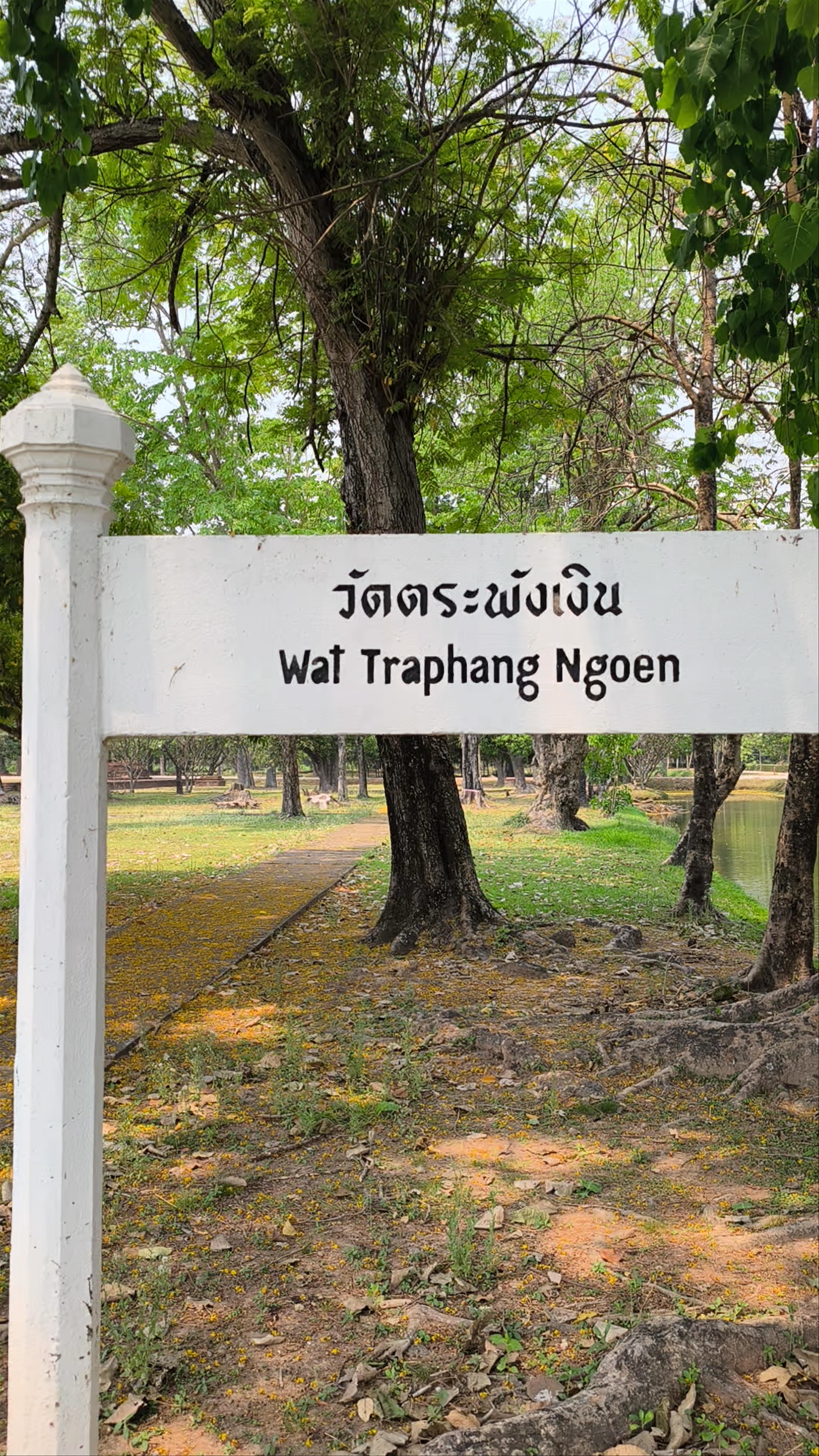 Wat Traphang Ngoen: Serenity and Ancient Spirit in Historic Sukhothai