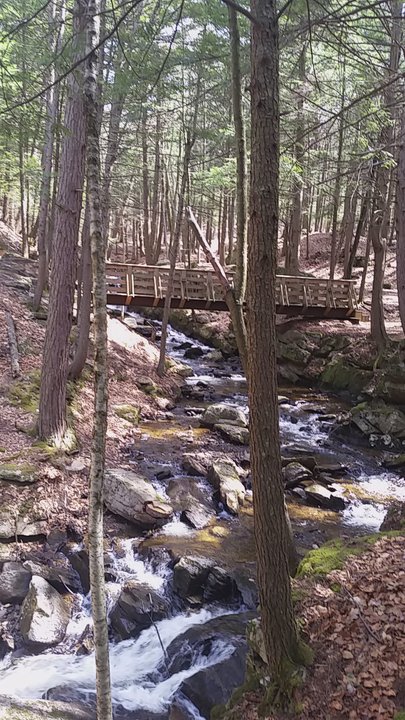 Chesterfield Gorge - Chesterfield Gorge - Hiking Near Me - Spofford, New Hampshire