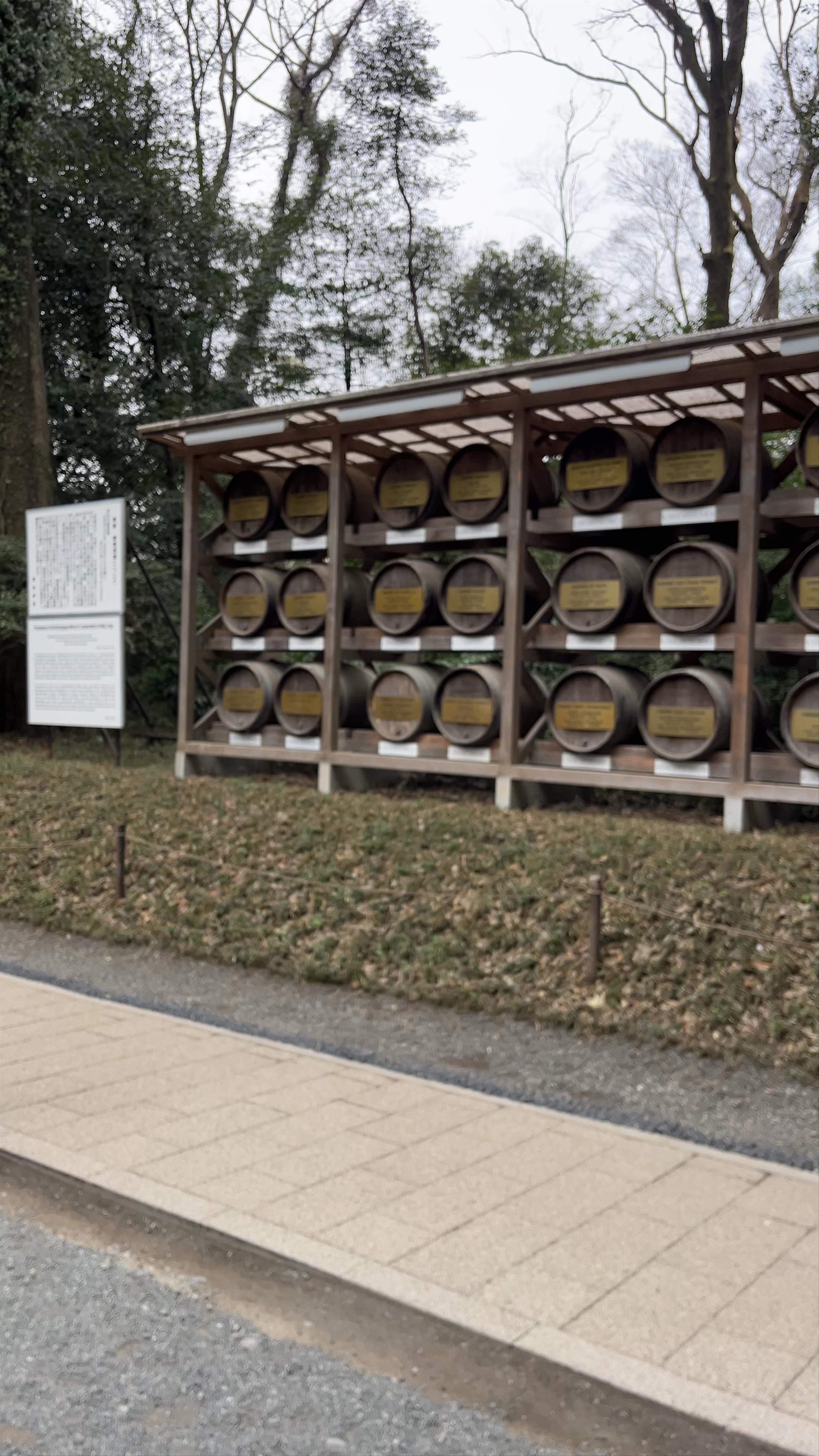 Shibuya's Peaceful Barrel Display: A Quiet Moment in Tokyo's Urban Forest