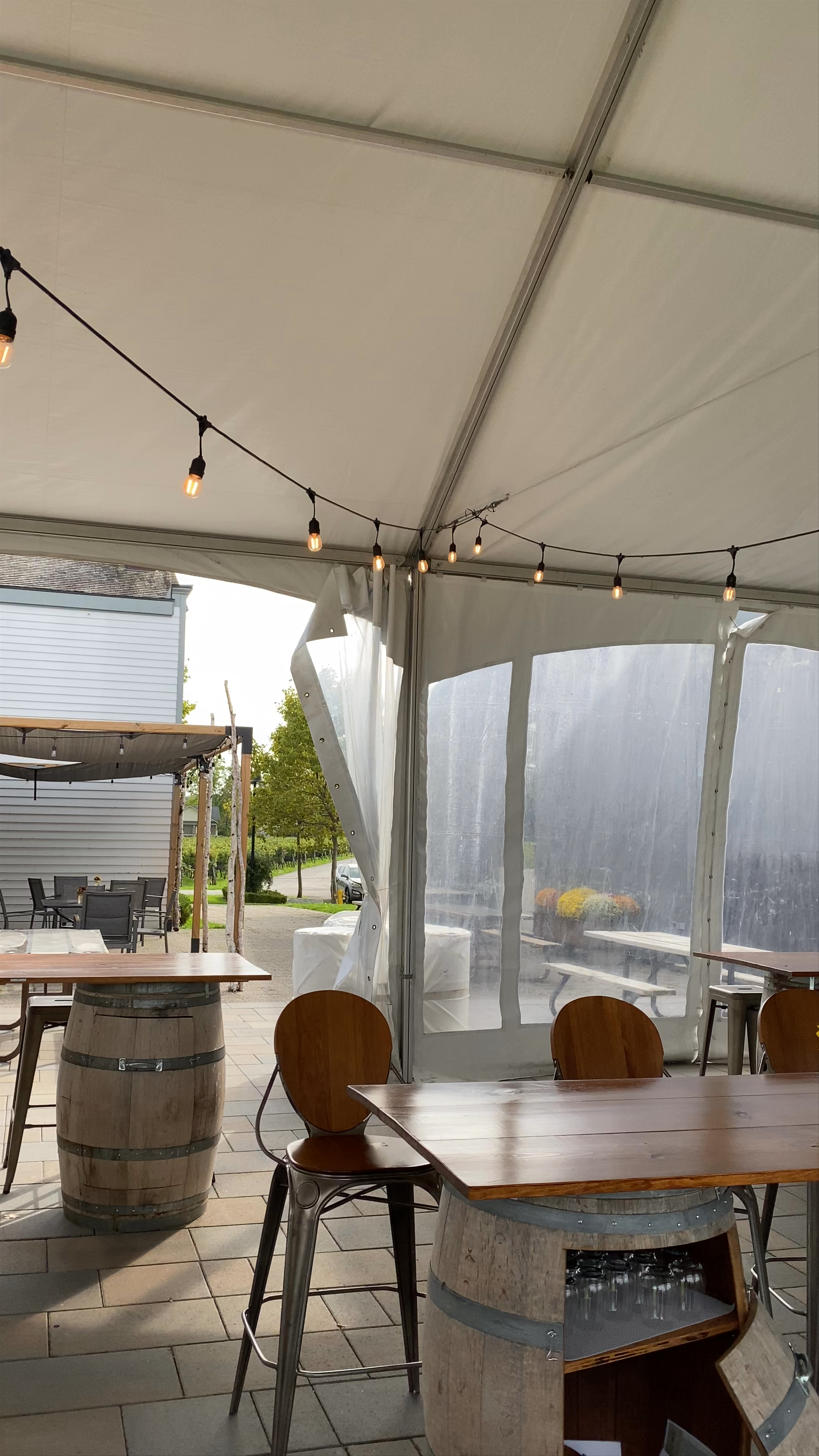 Ravine Vineyard Estate Winery: Rustic Charm & Scenic Tasting Experience in Niagara-on-the-Lake