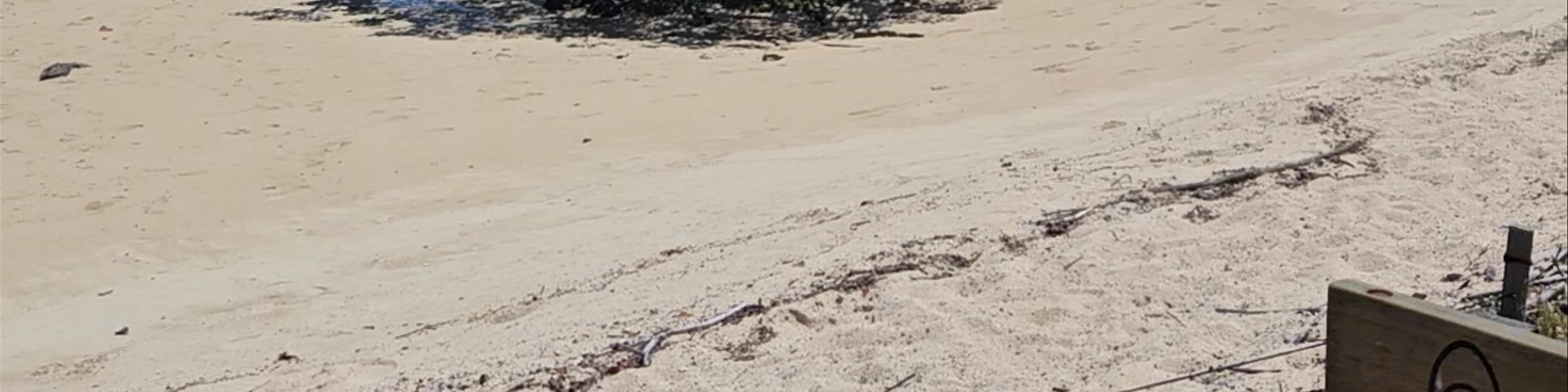 Puerto Ayora