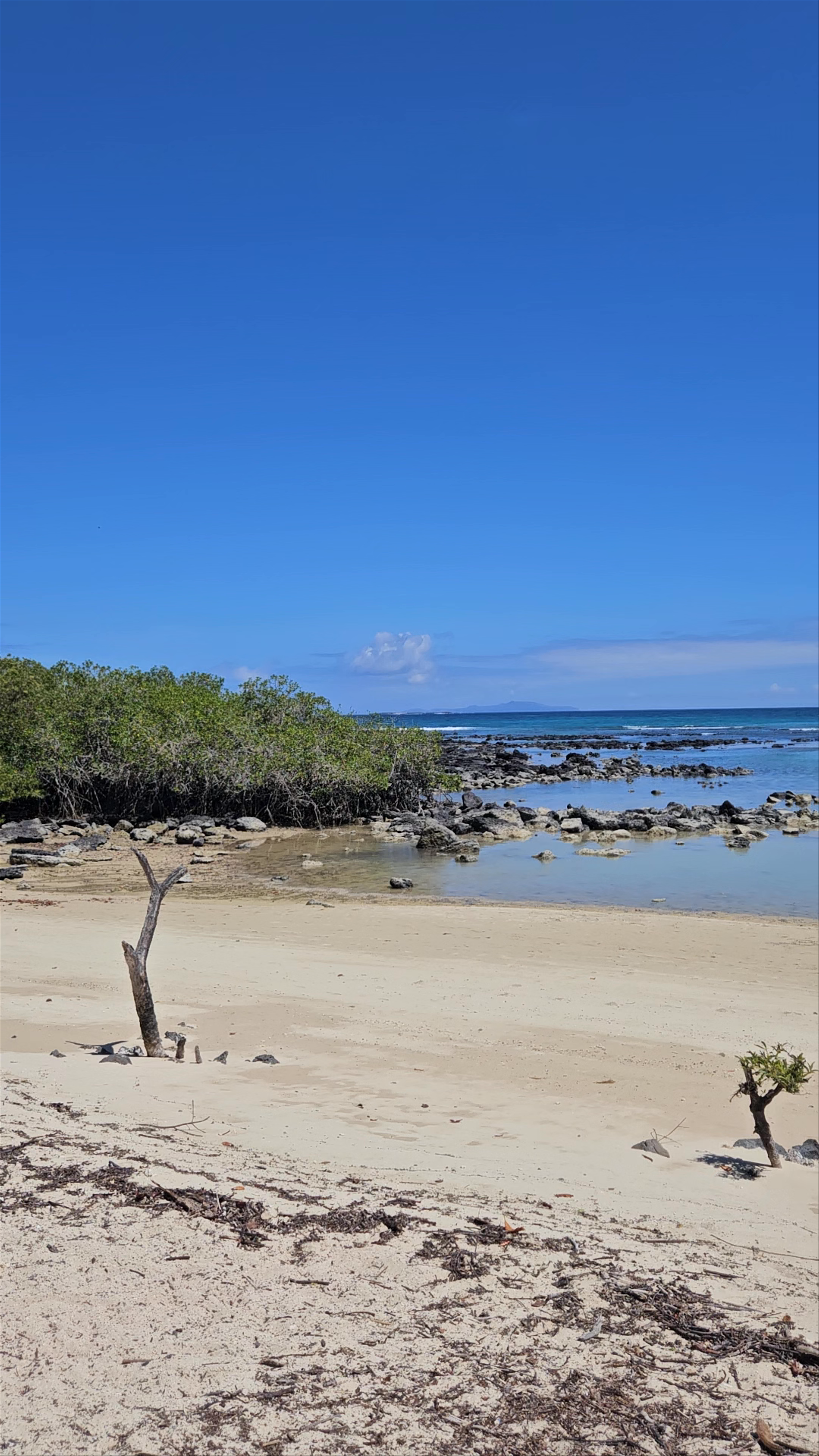 Playa los alemanes