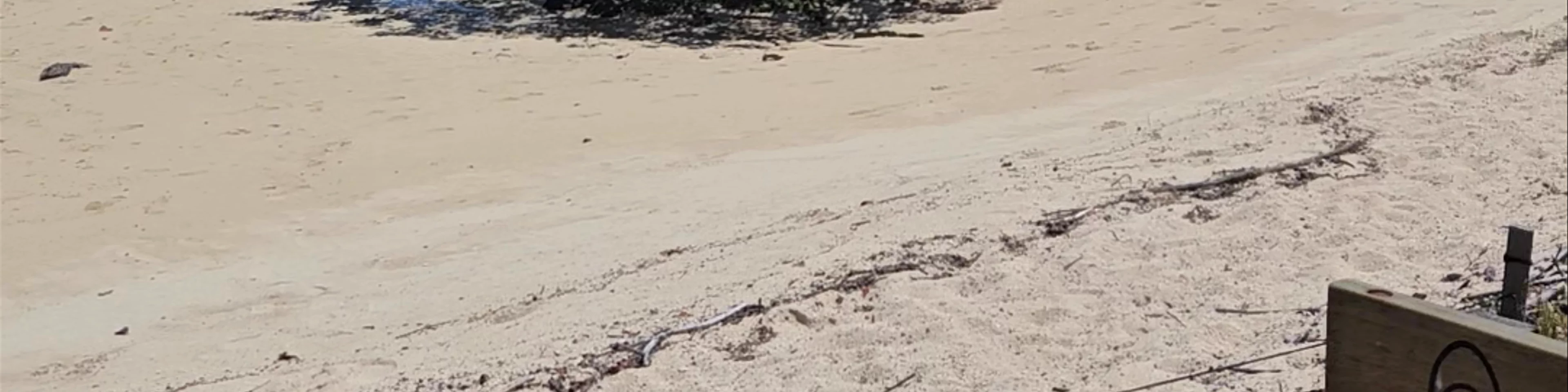 Playa los alemanes