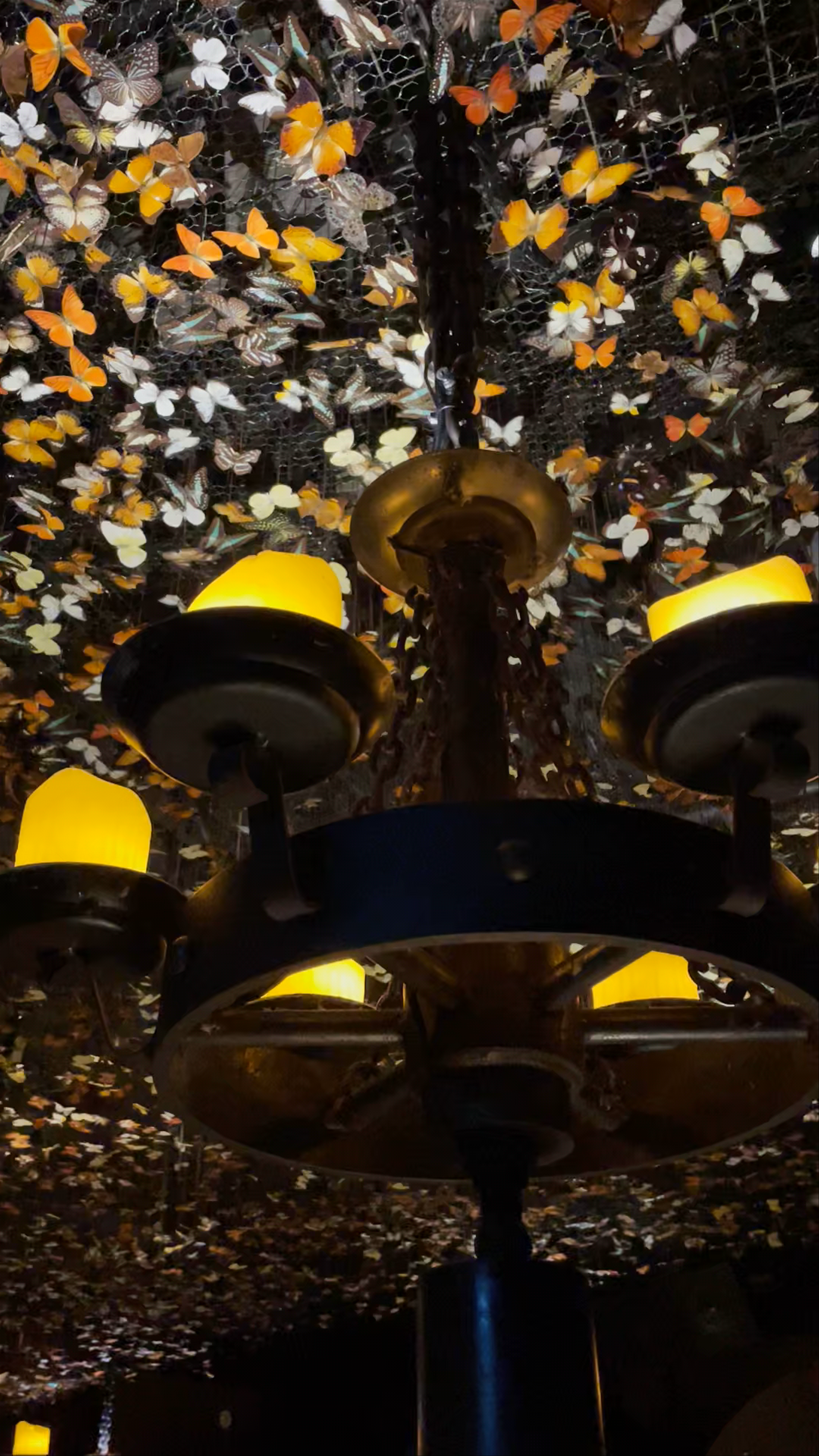 The Iron Fairies: Enchanting Nightlife on Hollywood Road, Central, Hong Kong