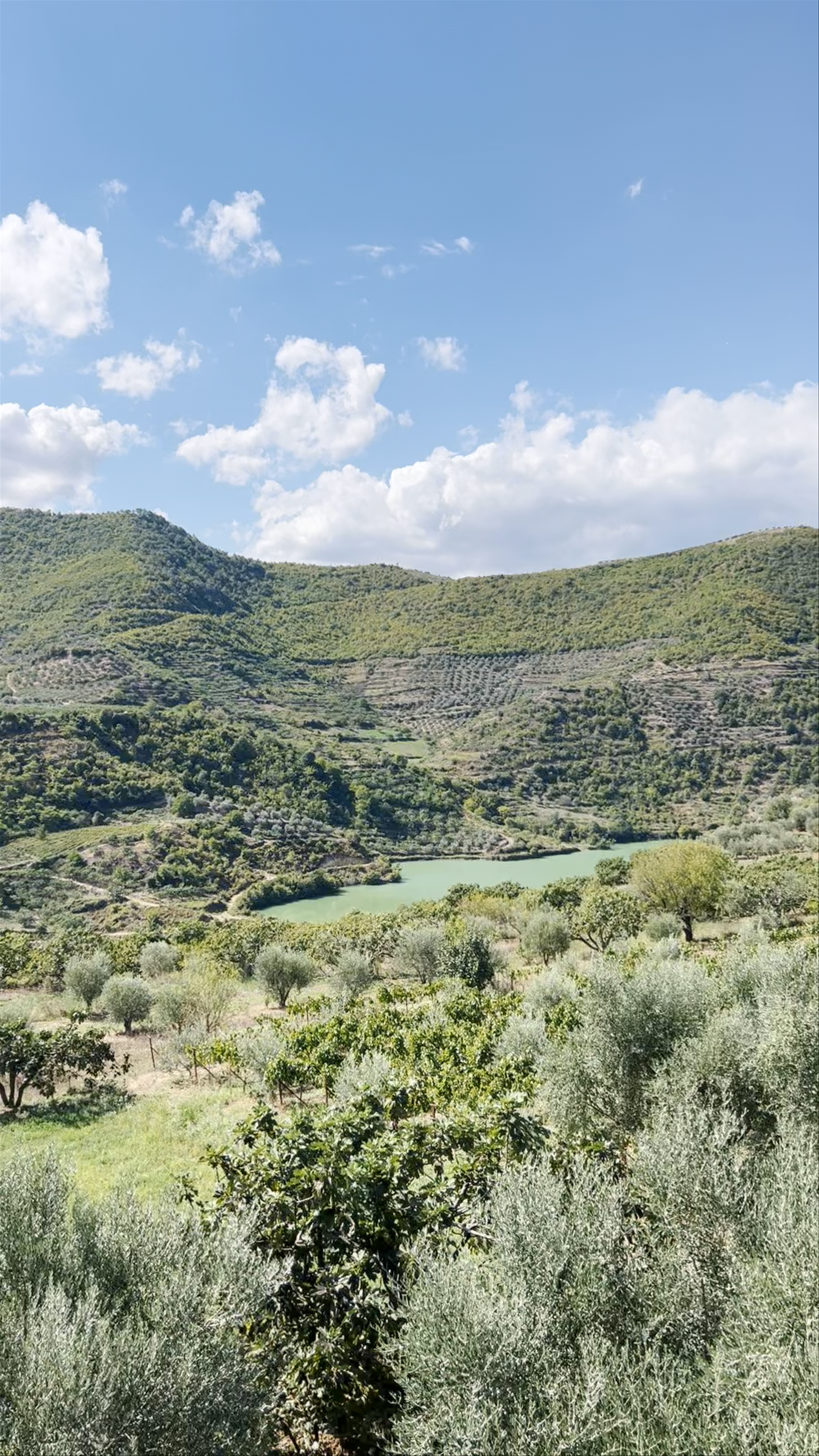 Dream Albania: Serene Countryside Views in Tiranë