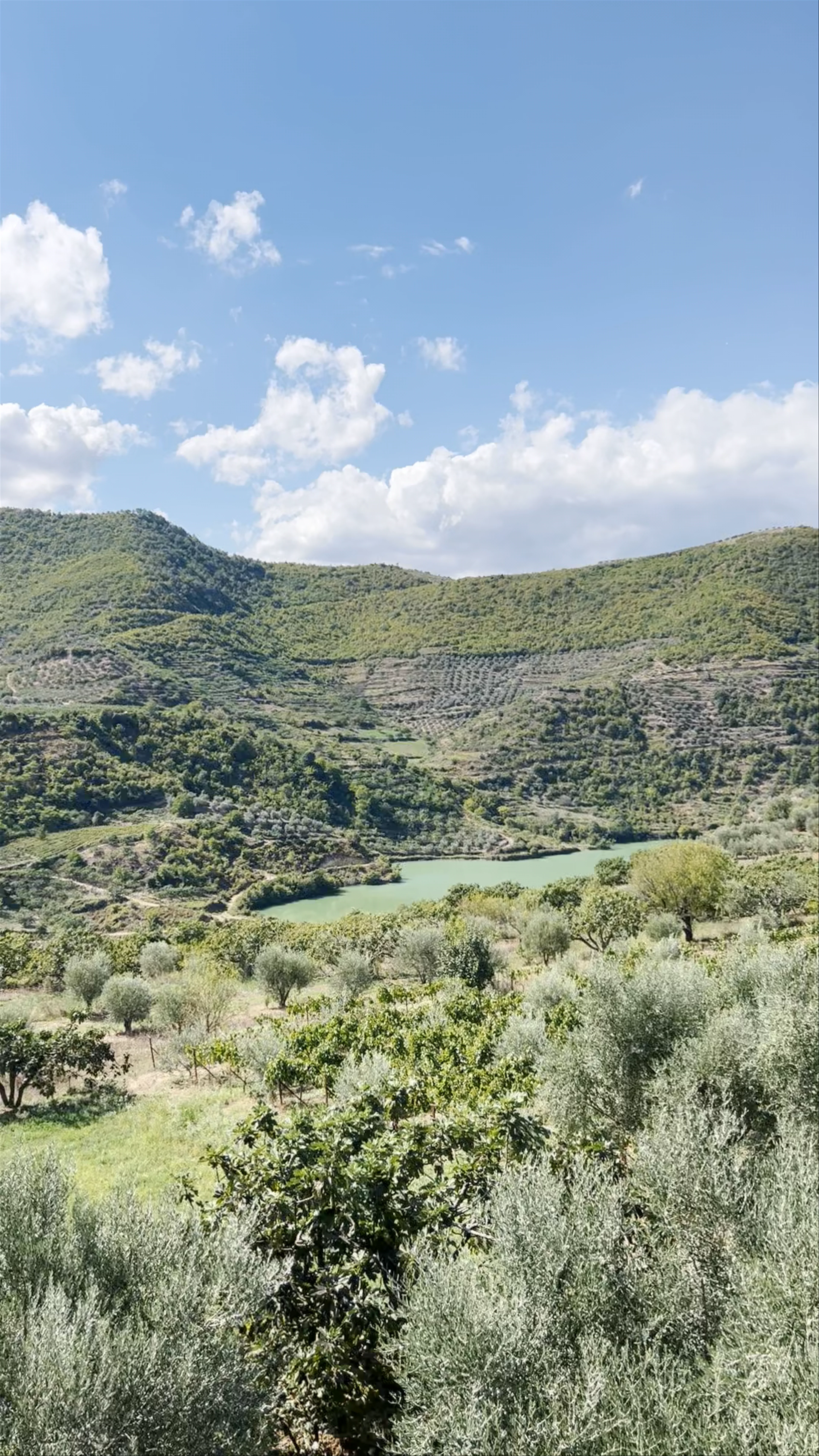 Dream Albania Real Estate & Tour