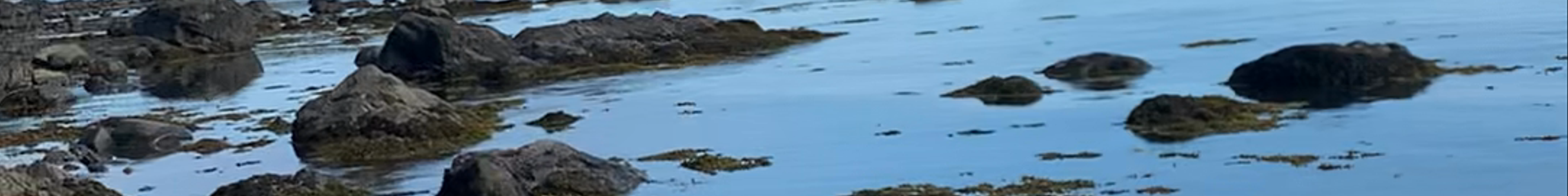 Tours & experiences in Neah Bay