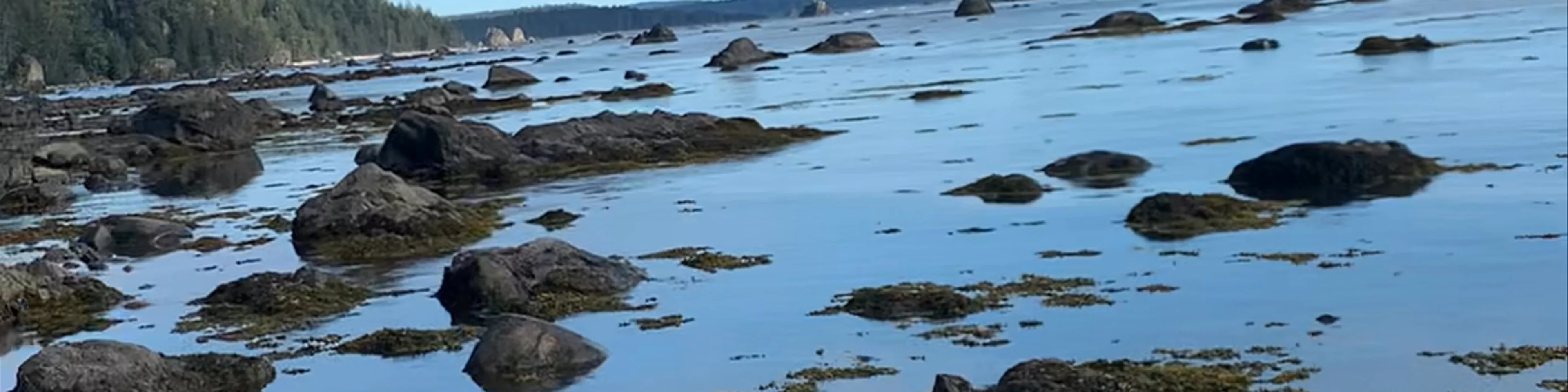 Cape Alava