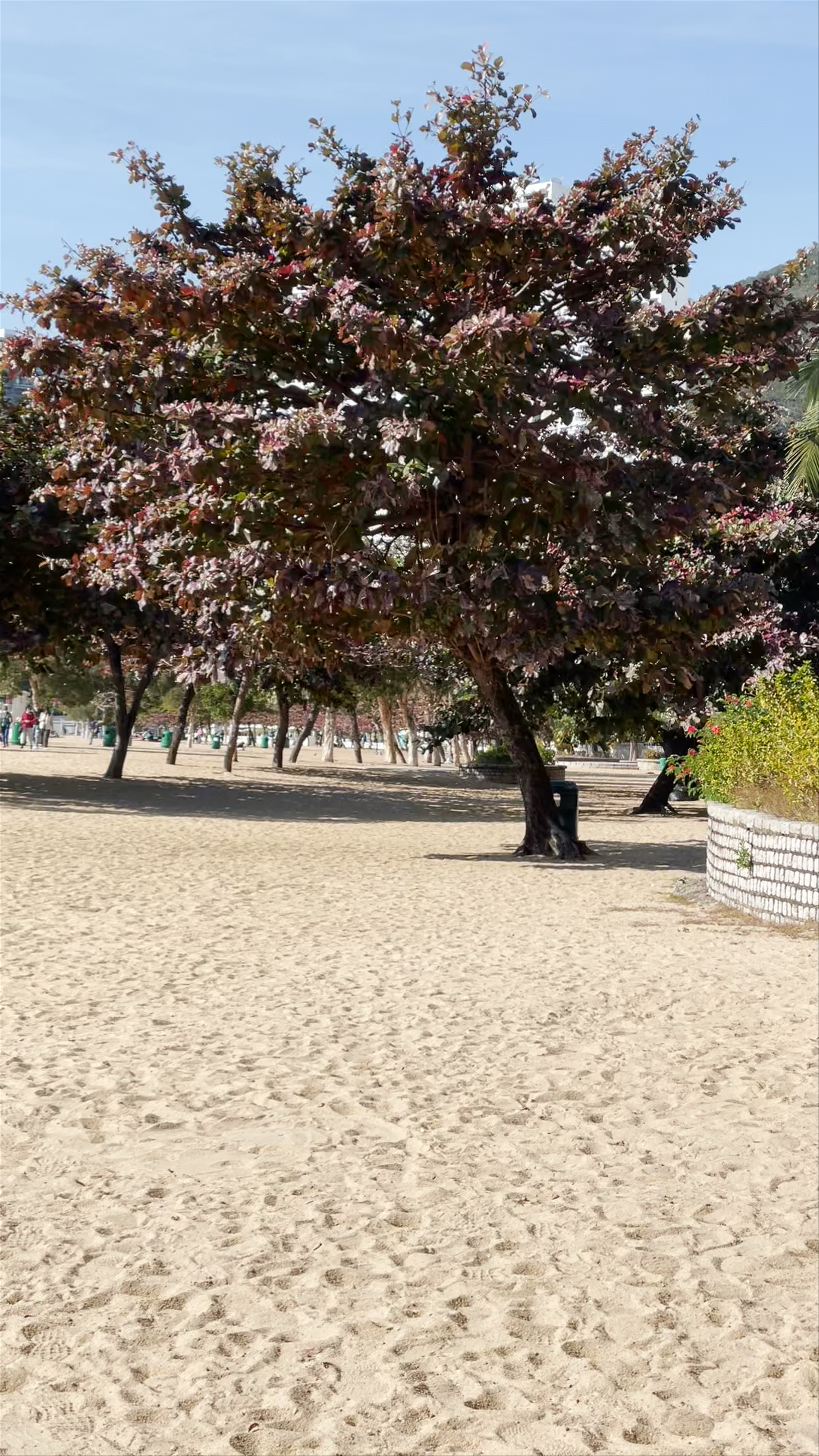 Repulse Bay Beach