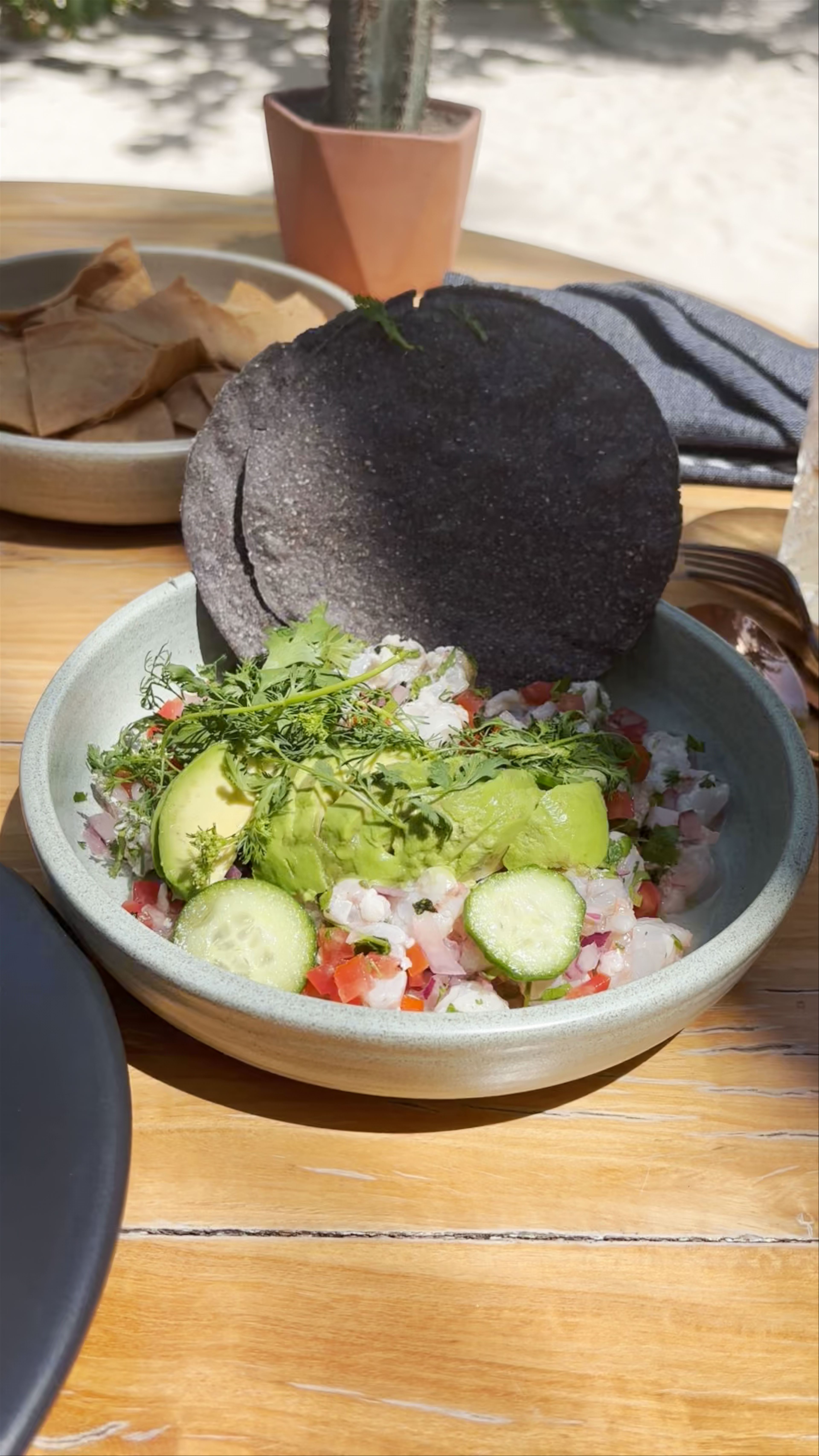 Fresh Mexican Ceviche & Salad at XELA Tulum Outdoor Dining