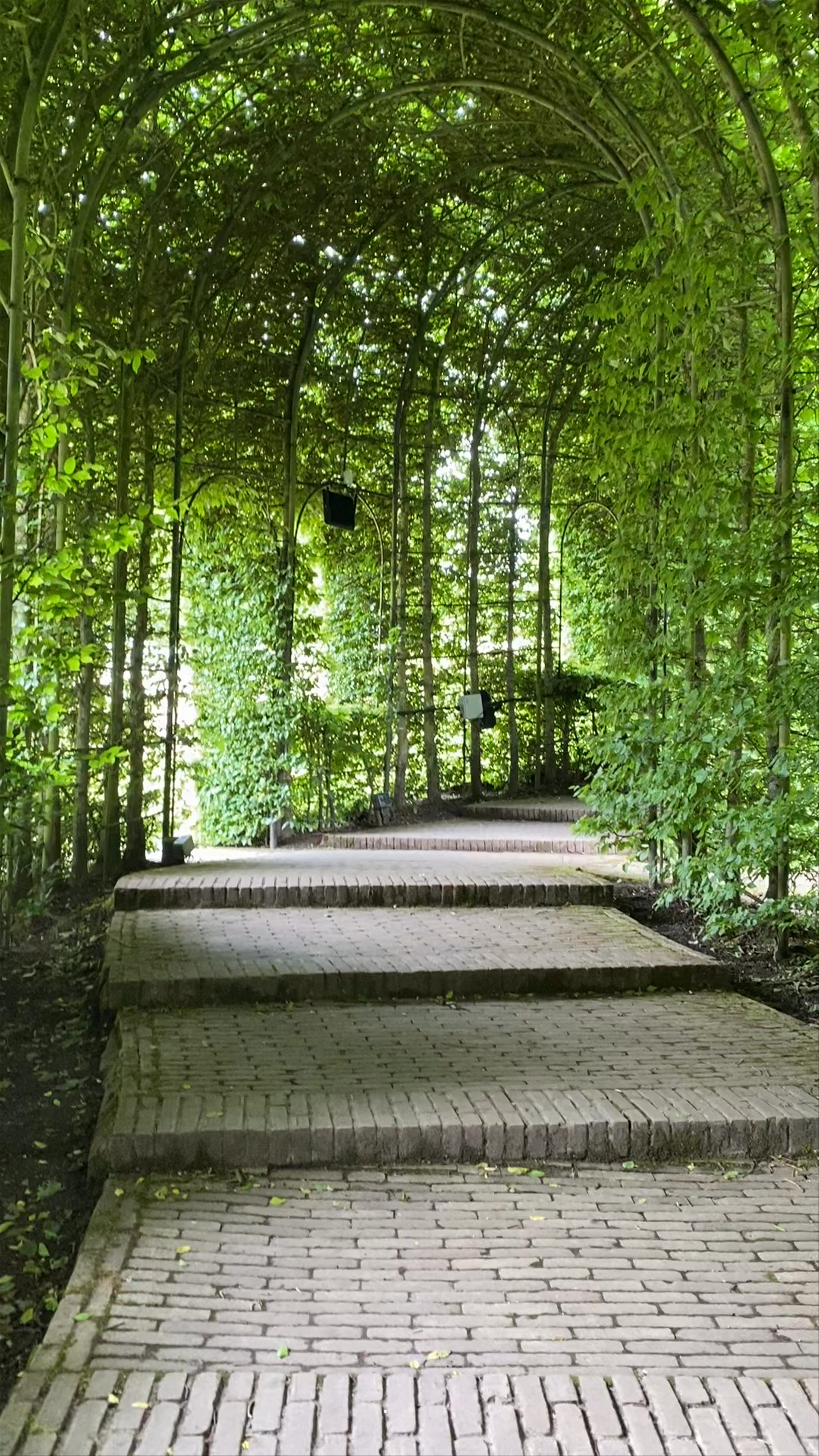 Alnwick Gardens ~ Northumberland