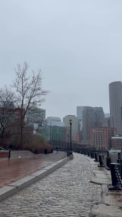 Fan Pier Park - View of Downtown Boston and North End from the park - Parks Near Me - Boston, Massachusetts