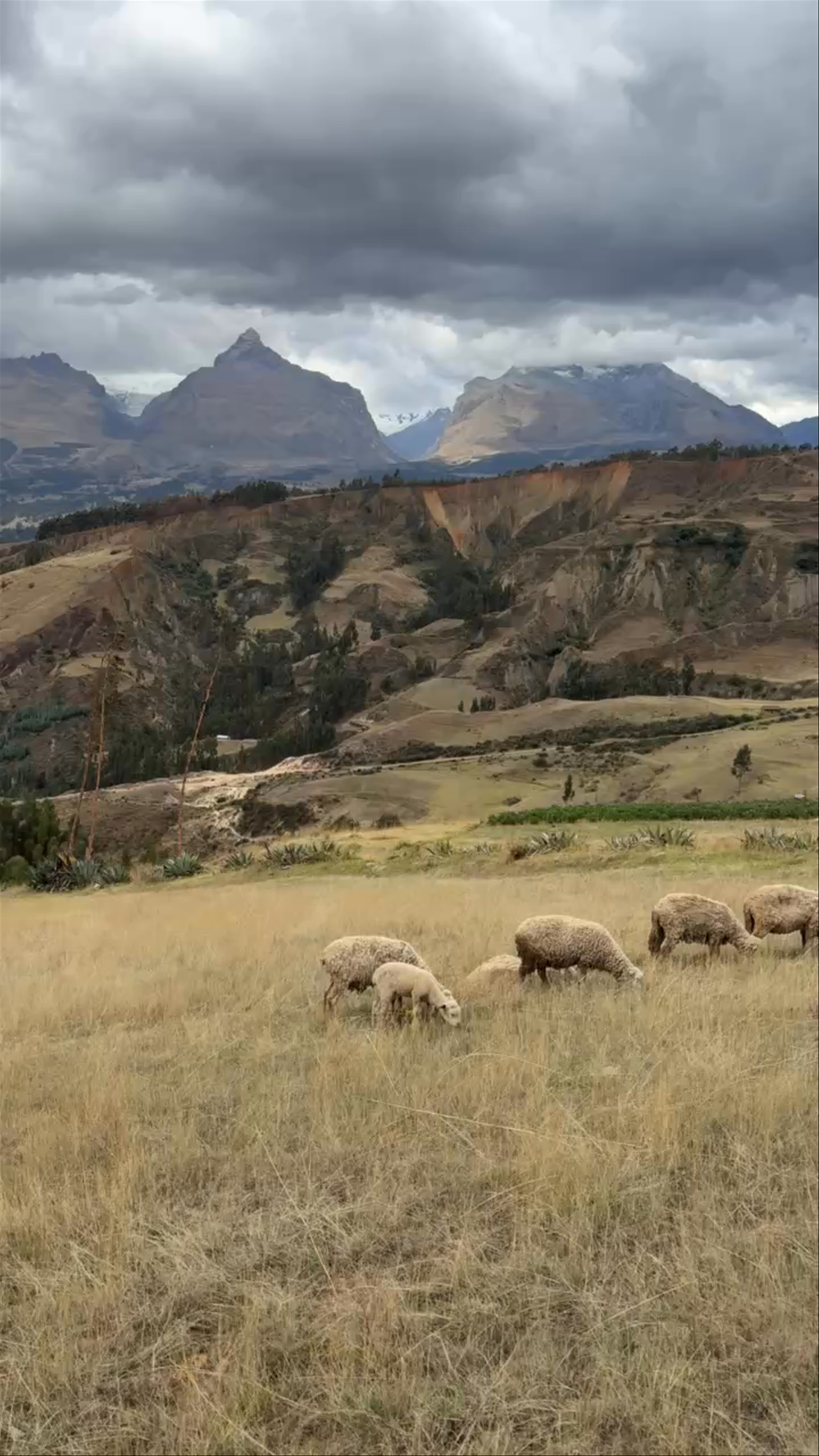 Han´s Spot - Huaraz