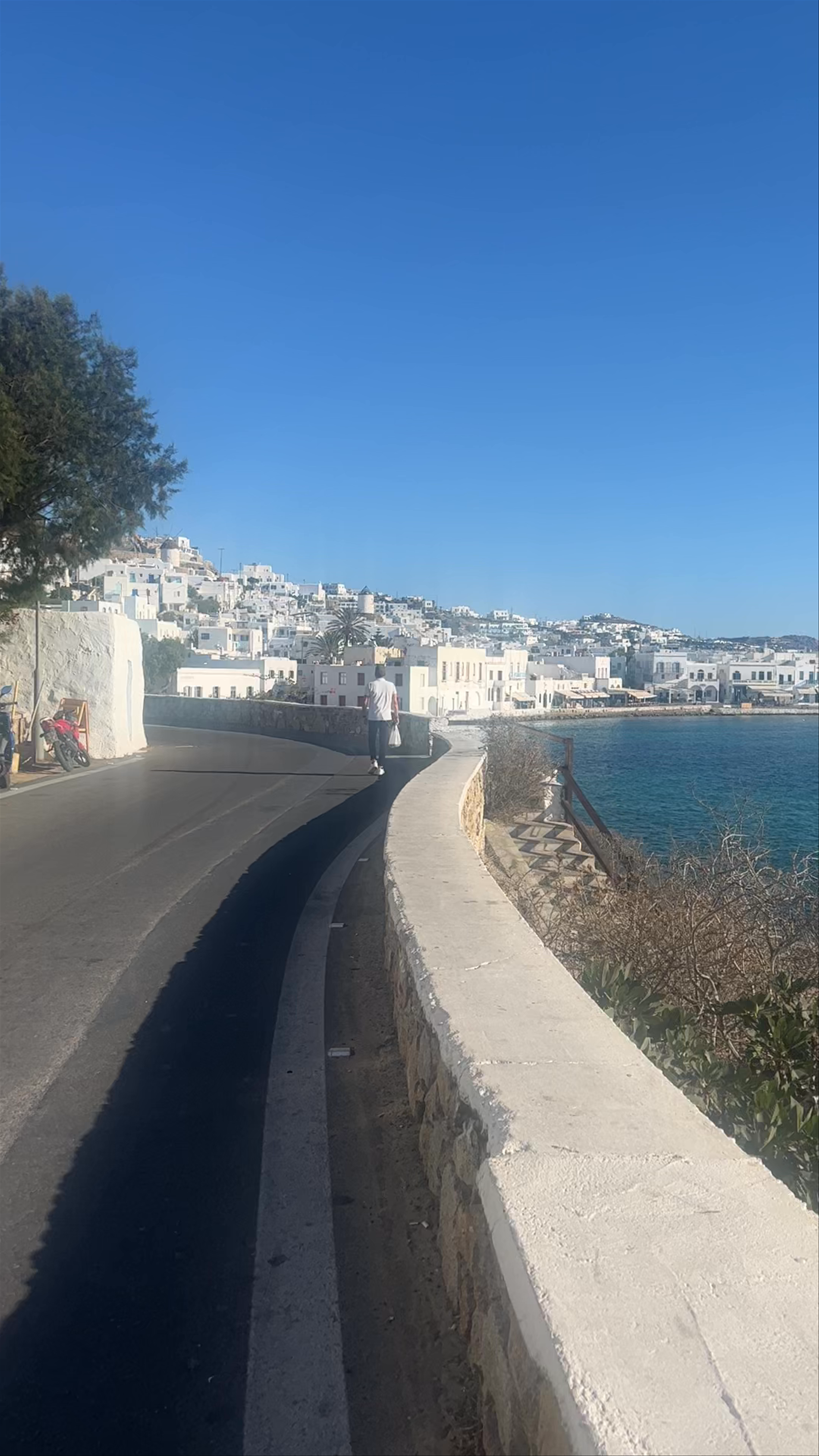 Mykonos SeaBus: Old Port Mykonos Town/Chora