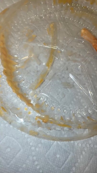 Roma's Pizza - Basic knowledge that placing a plastic lid on a hot aluminum container will cause it to melt, warp, and crack, yet this wasn't considered. - Pizza Near Me - Bear, Delaware
