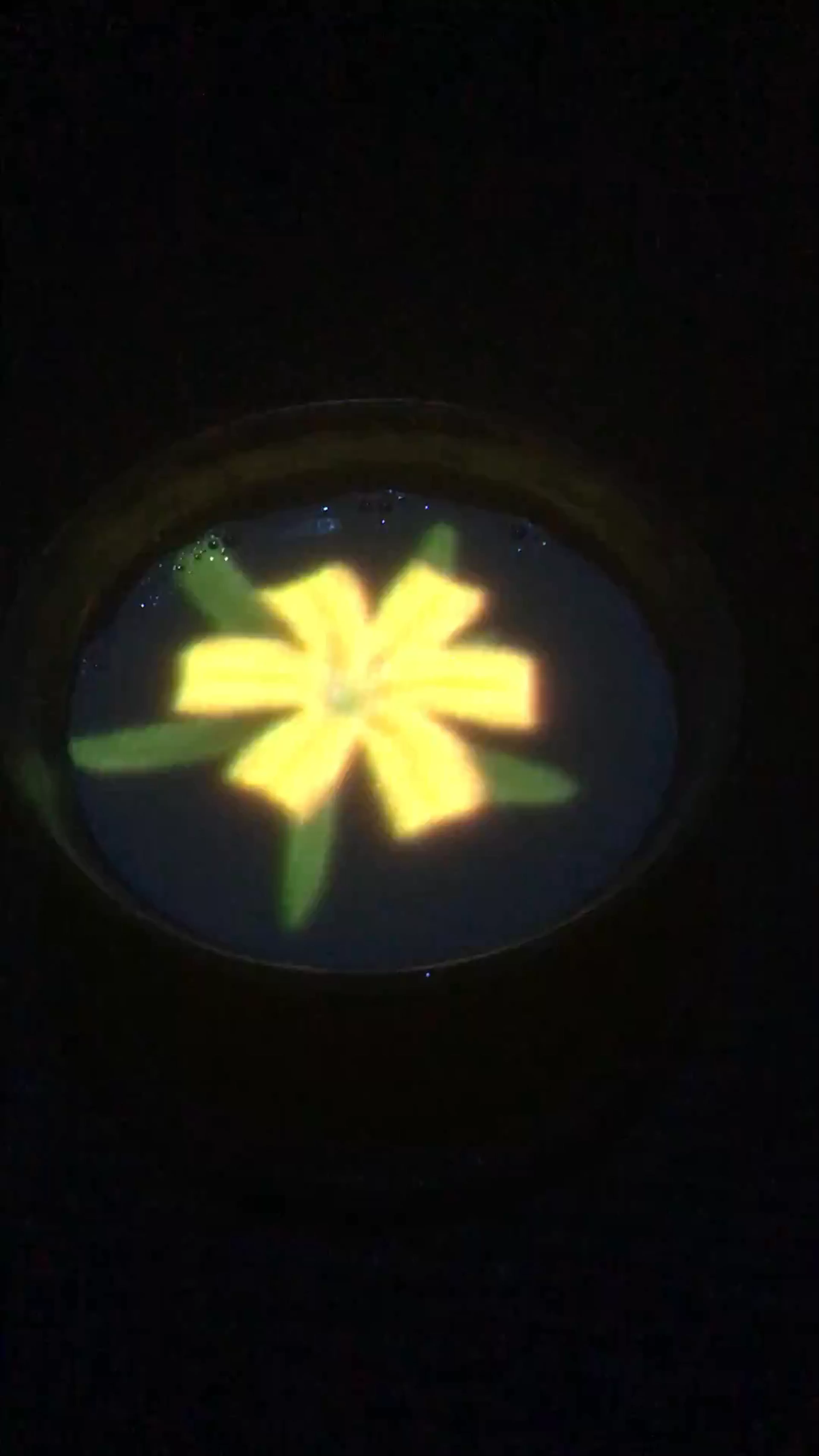 teamLab Borderless