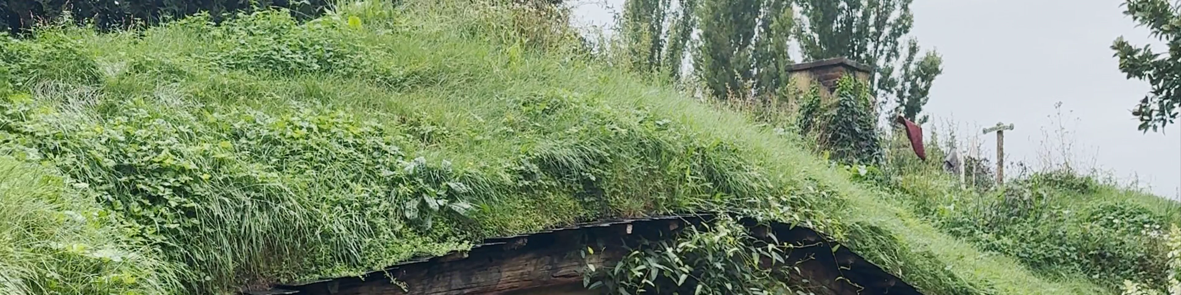 Hobbiton Movie Set Tours Buckland Road