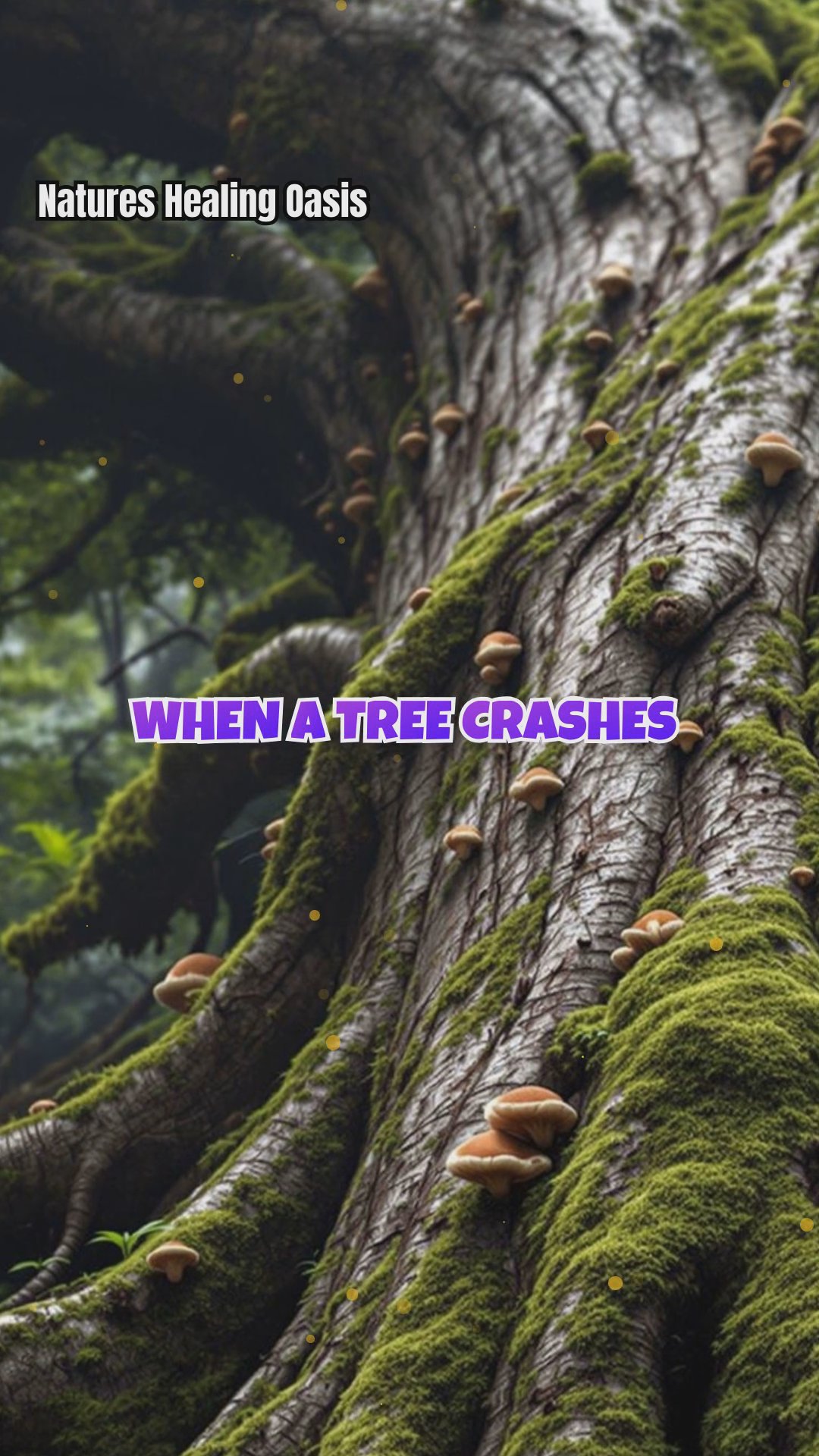 The Energetic Role of Fallen Trees: Decomposition, Renewal, and Emotional Cycles