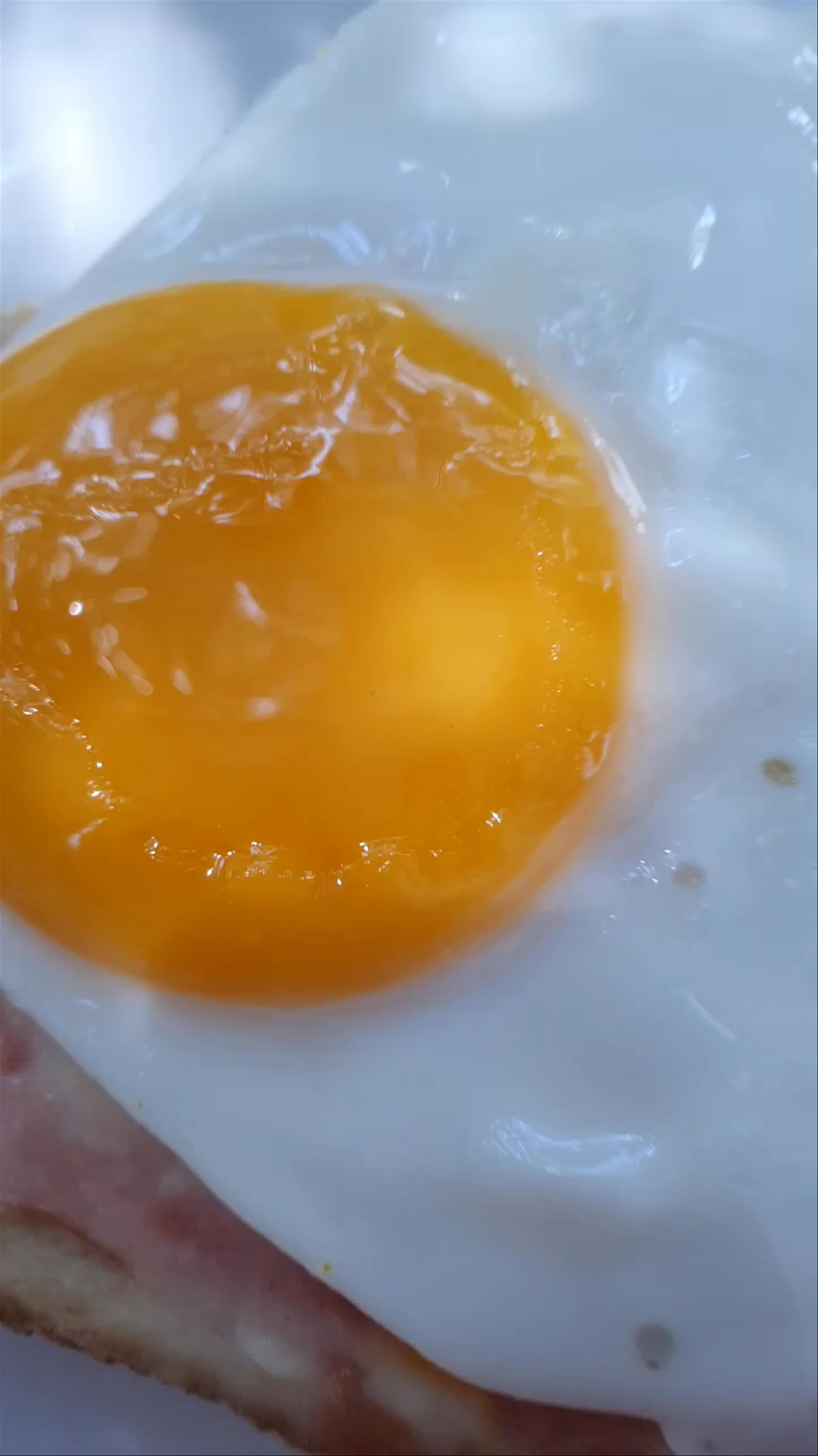 Parasagas