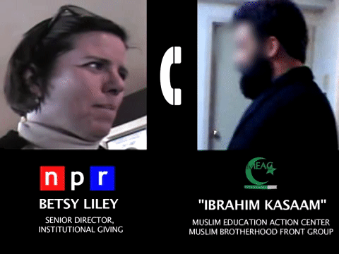 Video Thumbnail Loop