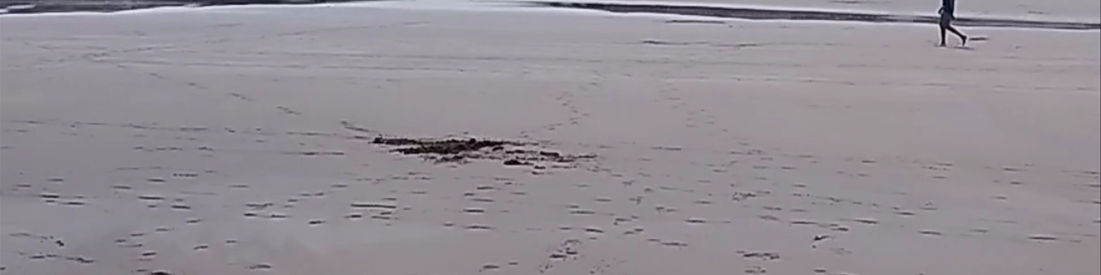 Playa de Vega O Berbes
