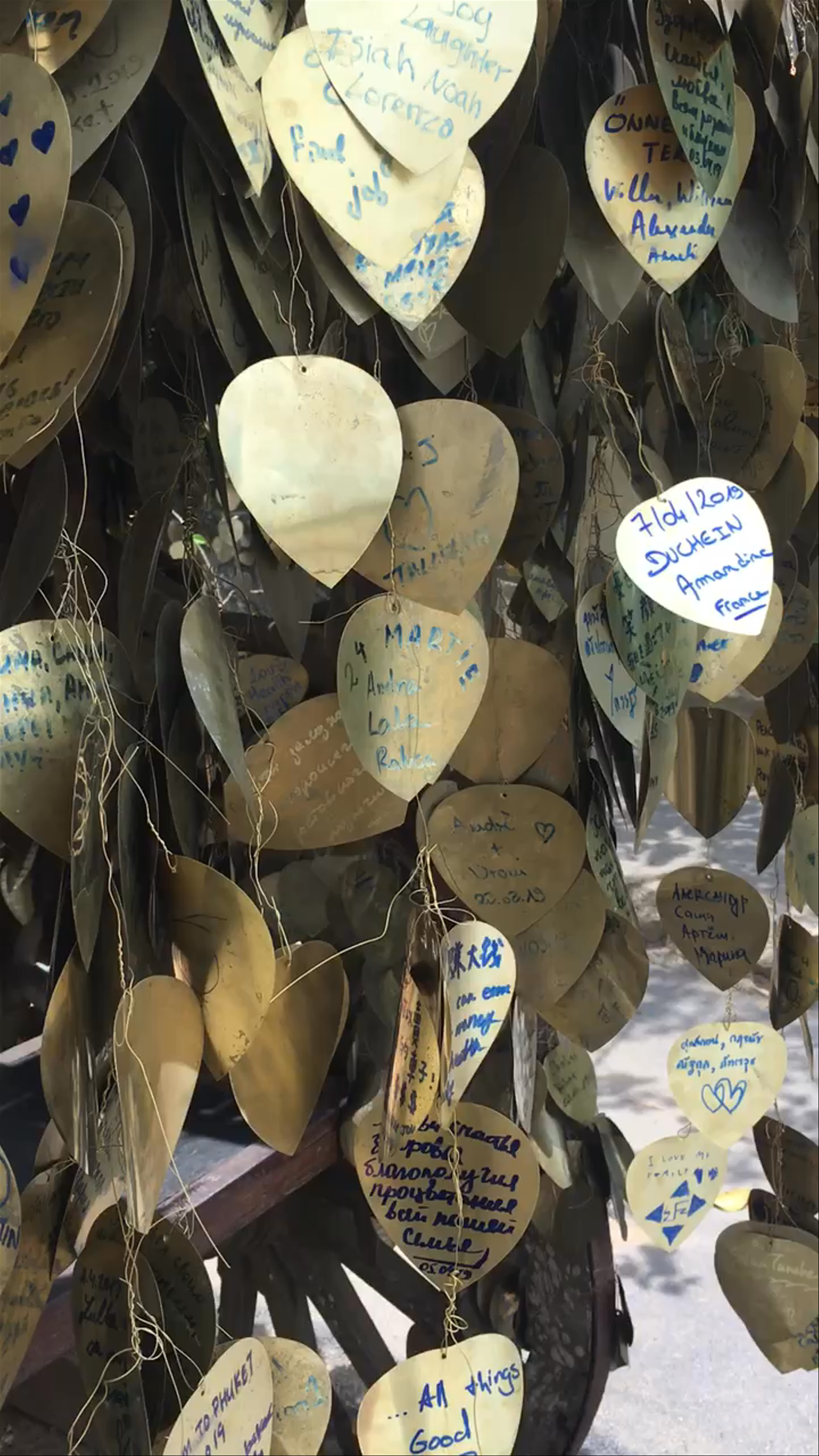 Big Buddha Wish Leaves: Spiritual Reflections in Phuket