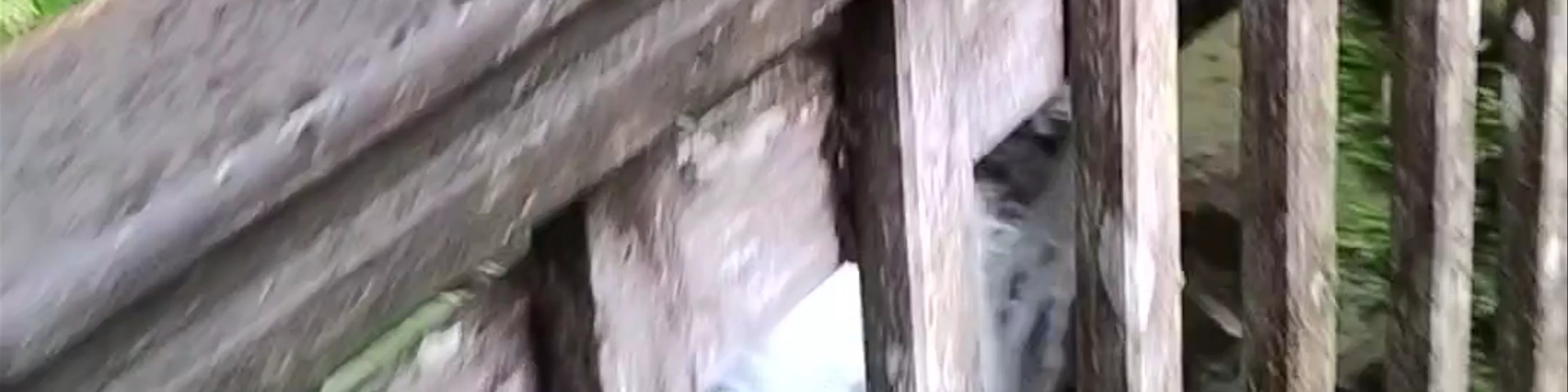 Troisième chute du Carbet
