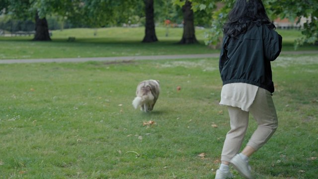 Una mujer juega con su perro en el parque.