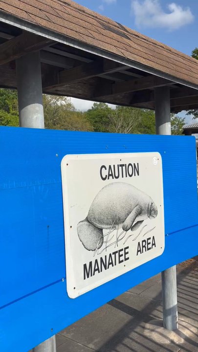 Metropolitan Park - Parks Near Me - Jacksonville, Florida