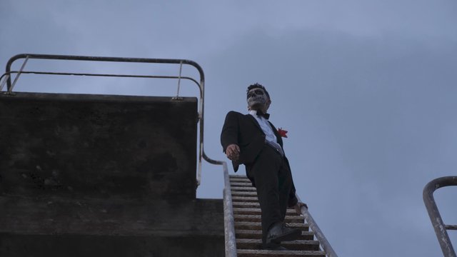 Man standing on a ladder