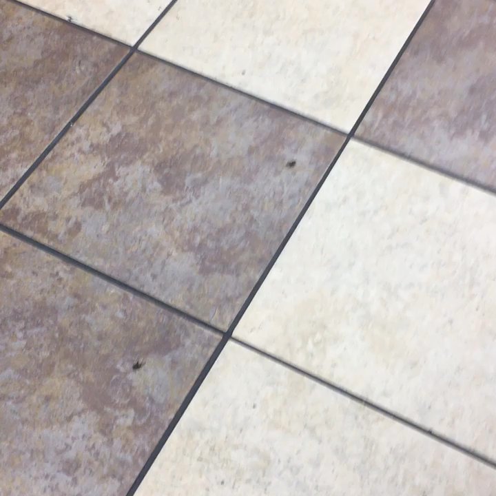 Love's Travel Stop - Crickets.... - Gas Stations Near Me - Weimar, Texas