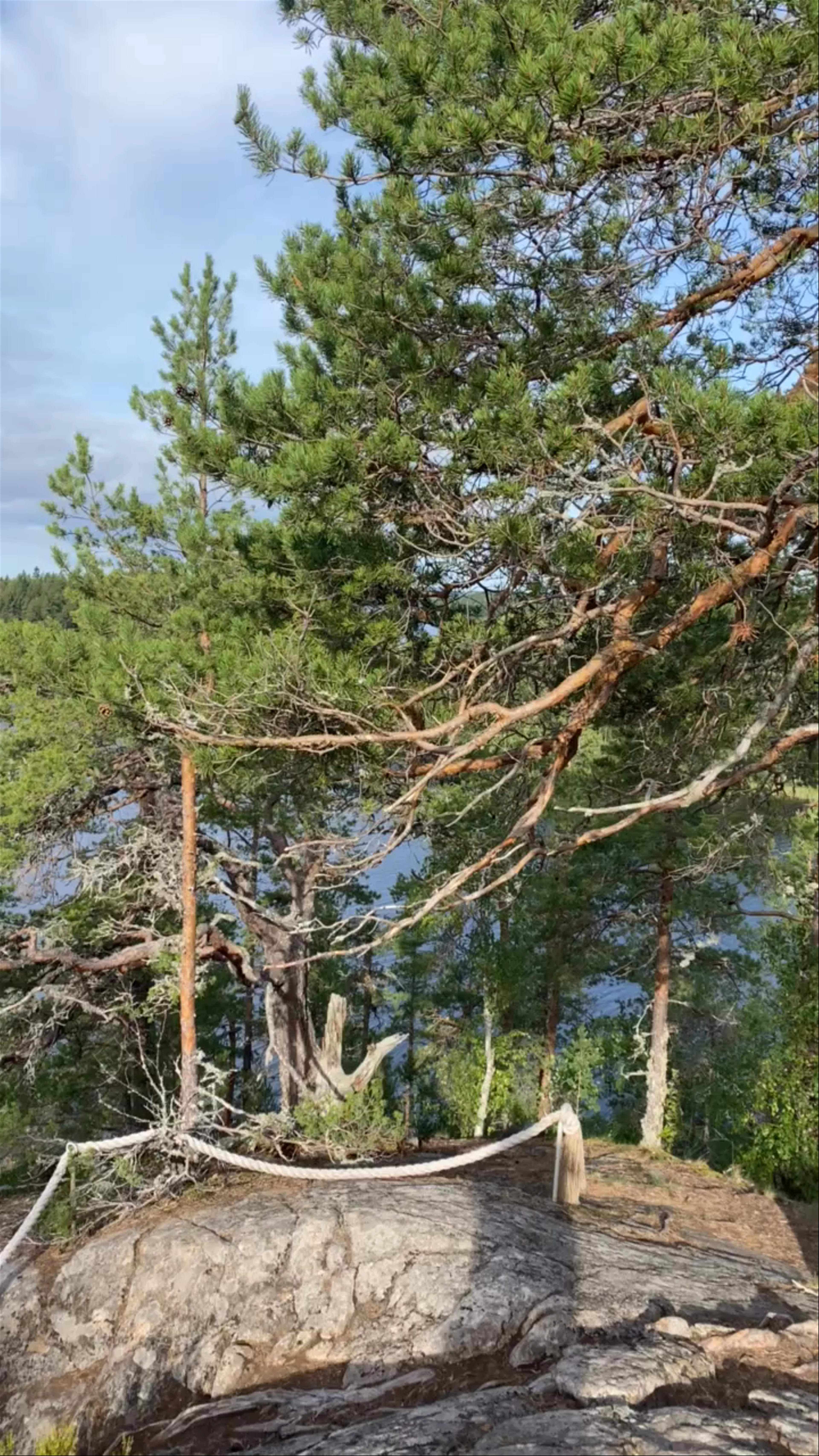 Linnavuori