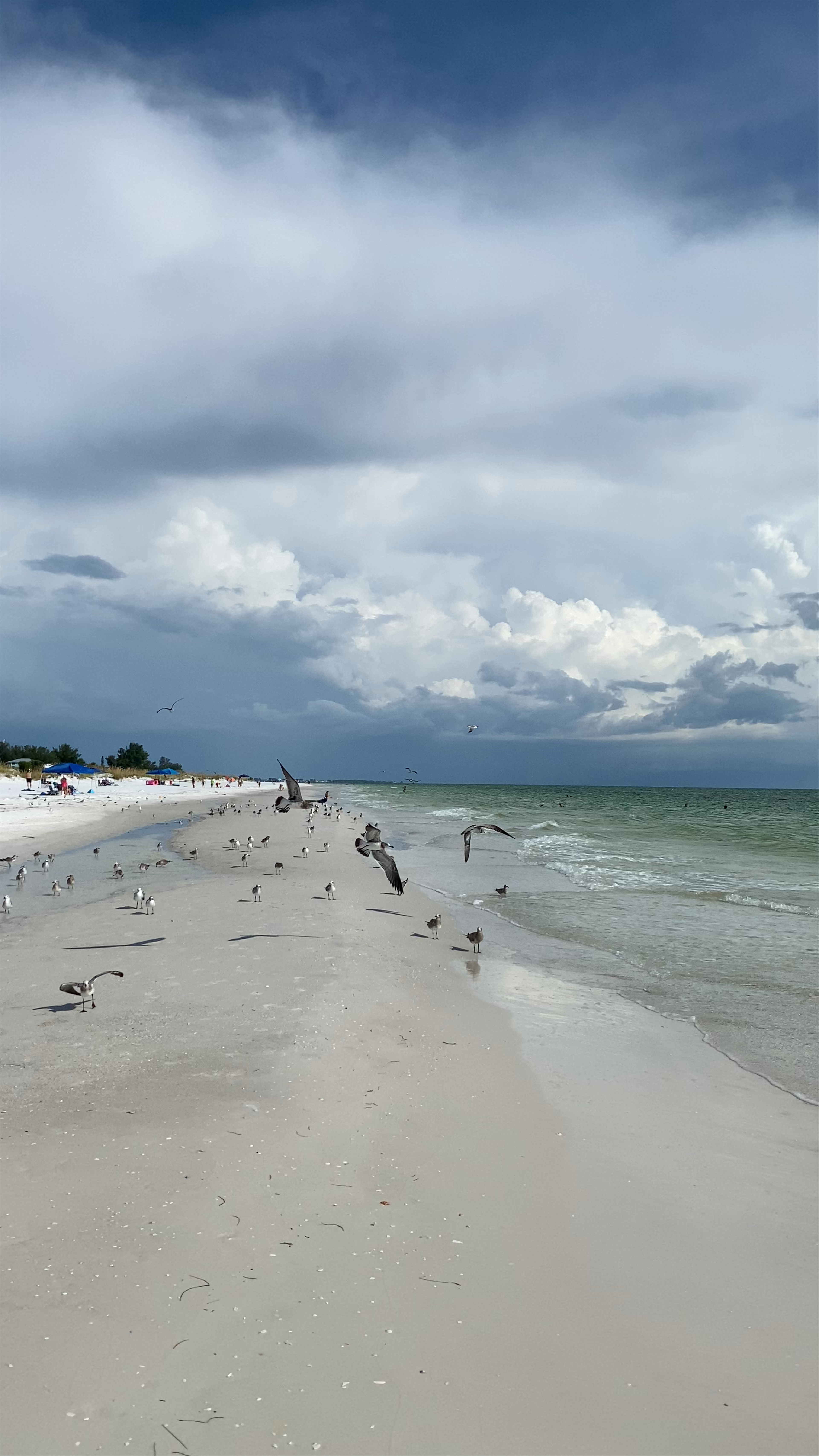 Serene Moments at Bean Point Beach, Anna Maria, Florida