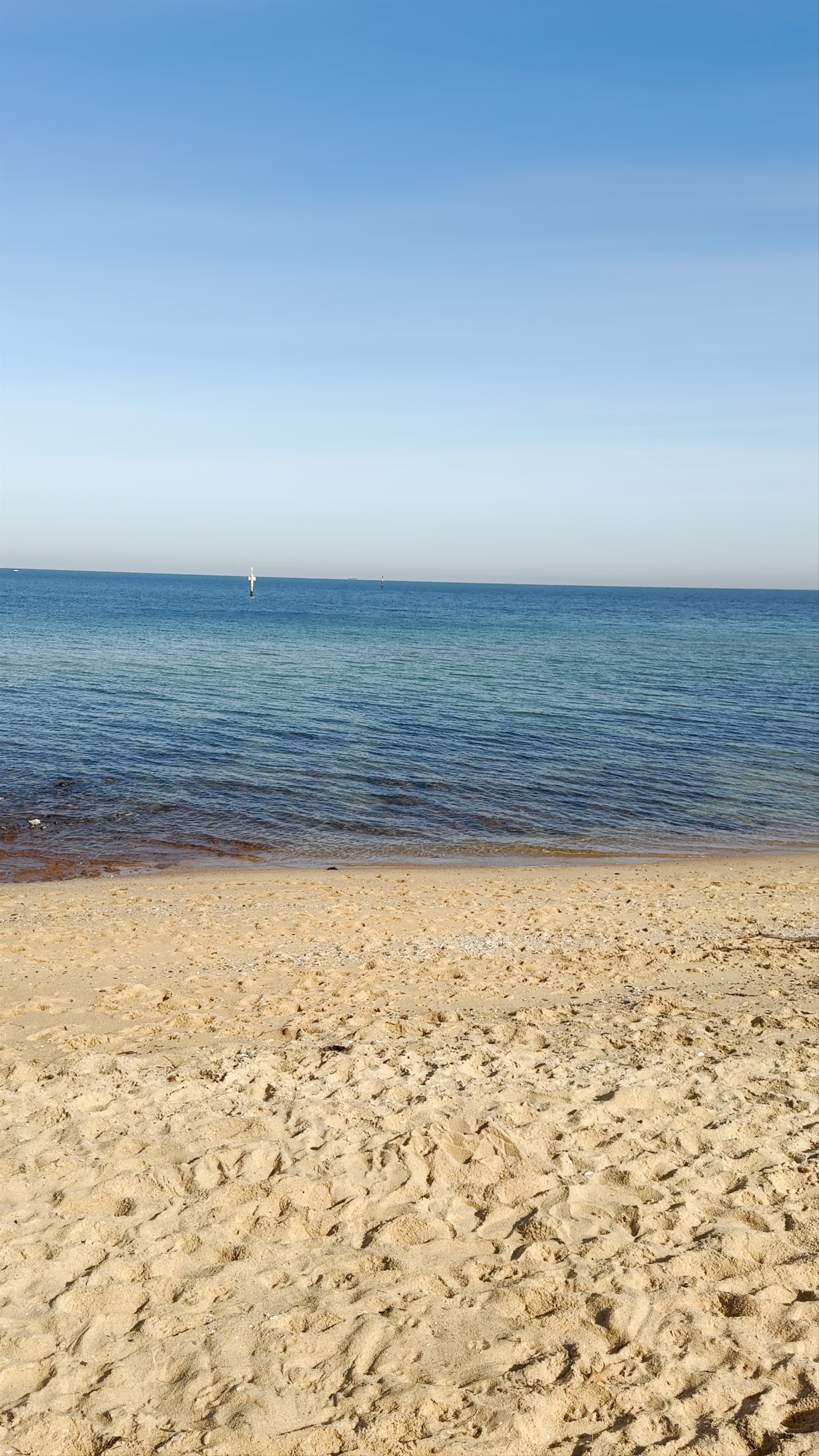 Sandringham Beach