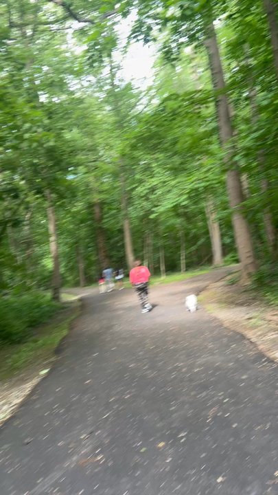 Christopher Morley Park - Beautiful tree covered trail! - Parks Near Me - Roslyn, New York