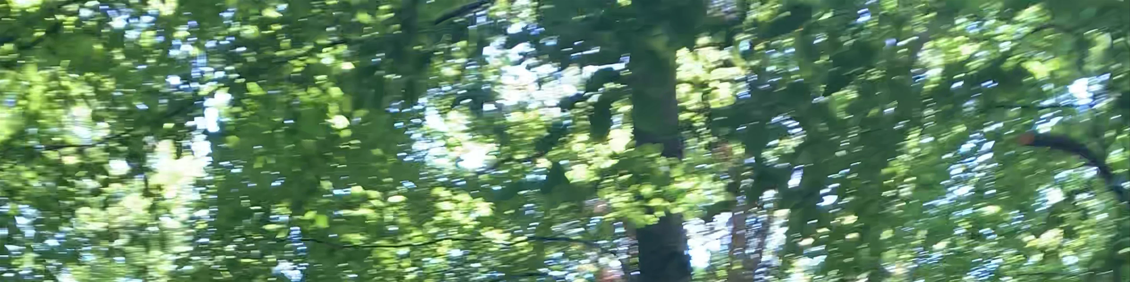 Περιβαλλοντικό Κέντρο Αρκτούρου