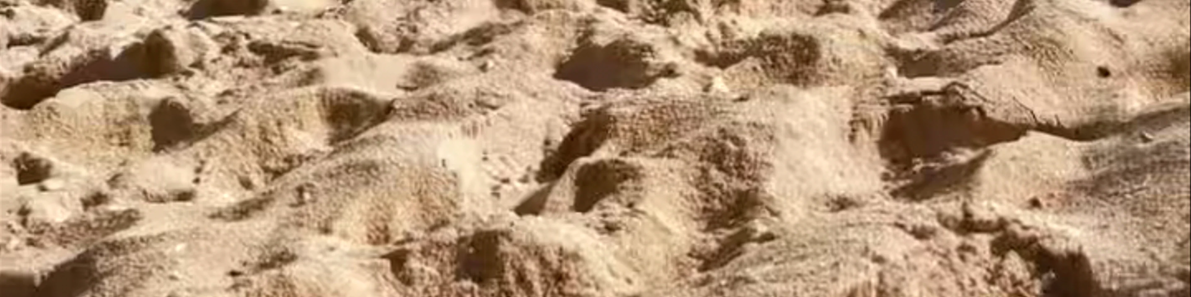 Baby Beach